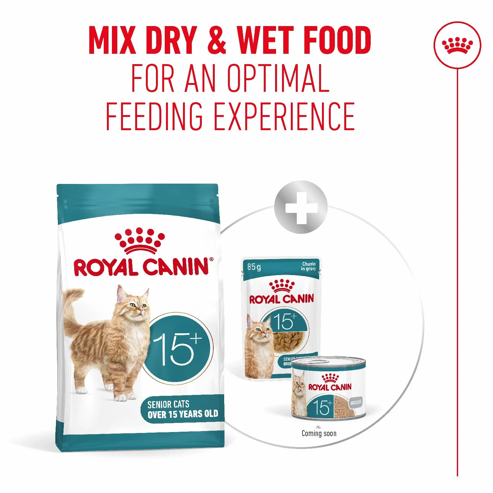 Royal CANIN AGEING 15+ Sucha karma dla starszych kotów 400 g