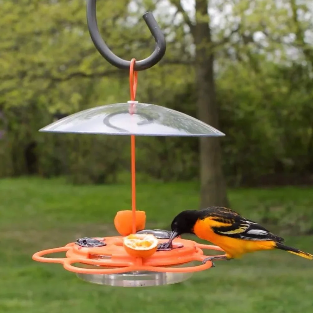 Nature's Way OFP1 All-in-One Oriole Buffet karmnik dla ptaków, pomarańczowy