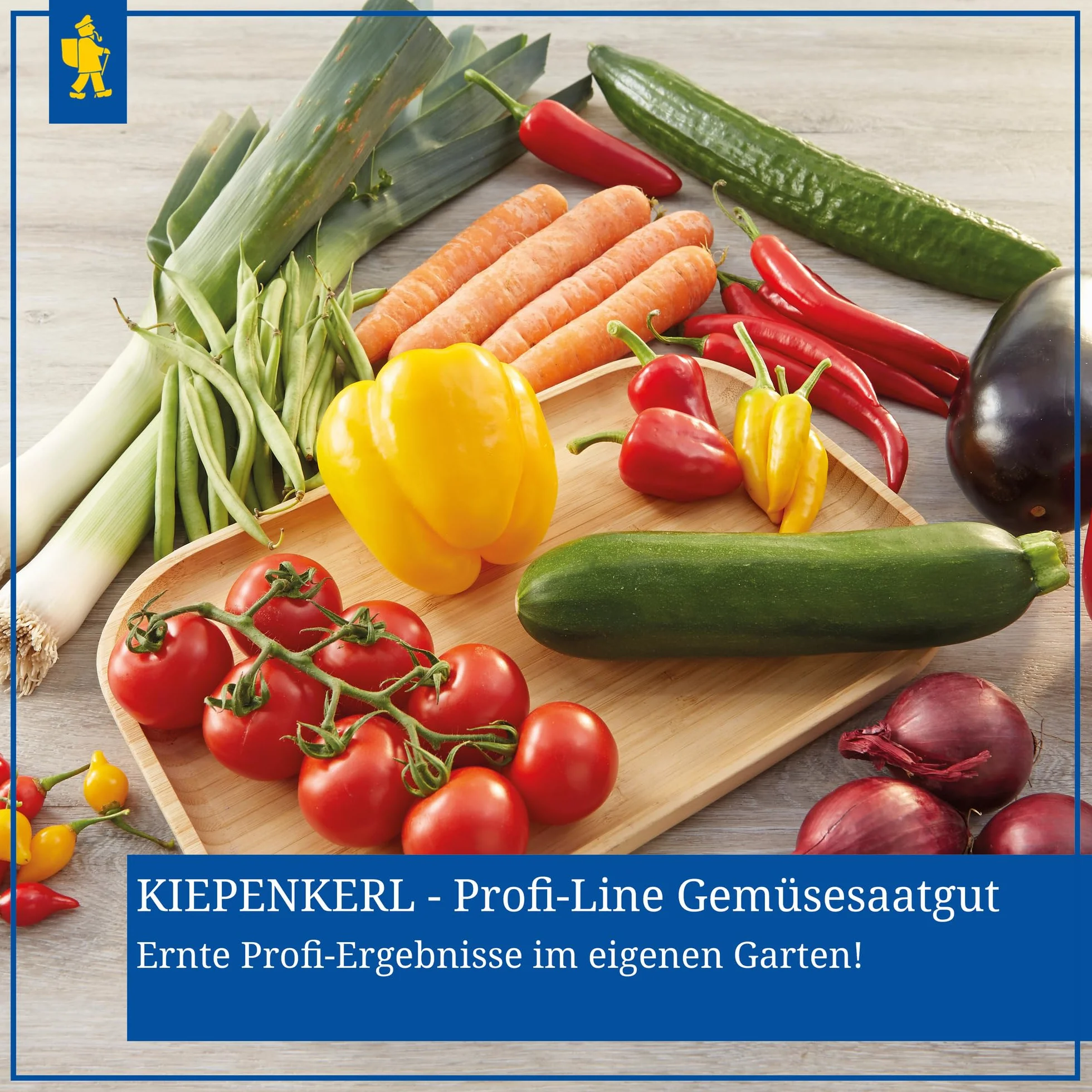 Kiepenkerl, Nasiona Pomidorów Harzfeuer