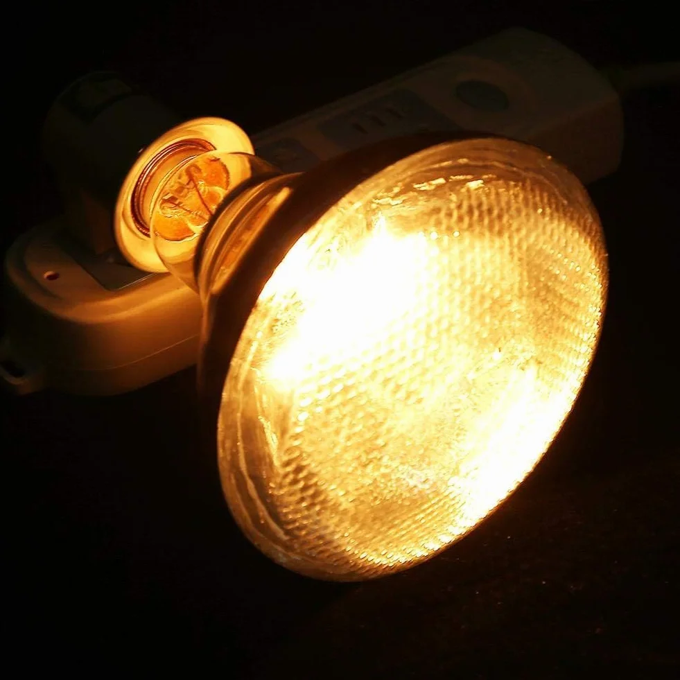 Zerodis Lampa grzewcza do hodowli, 250 W, lampa grzewcza dla zwierząt domowych z regulacją temperatury, lampa izolacyjna na podczerwień do hodowli żółwi, akwarium, akwarium, dla gadów, jaszczurek