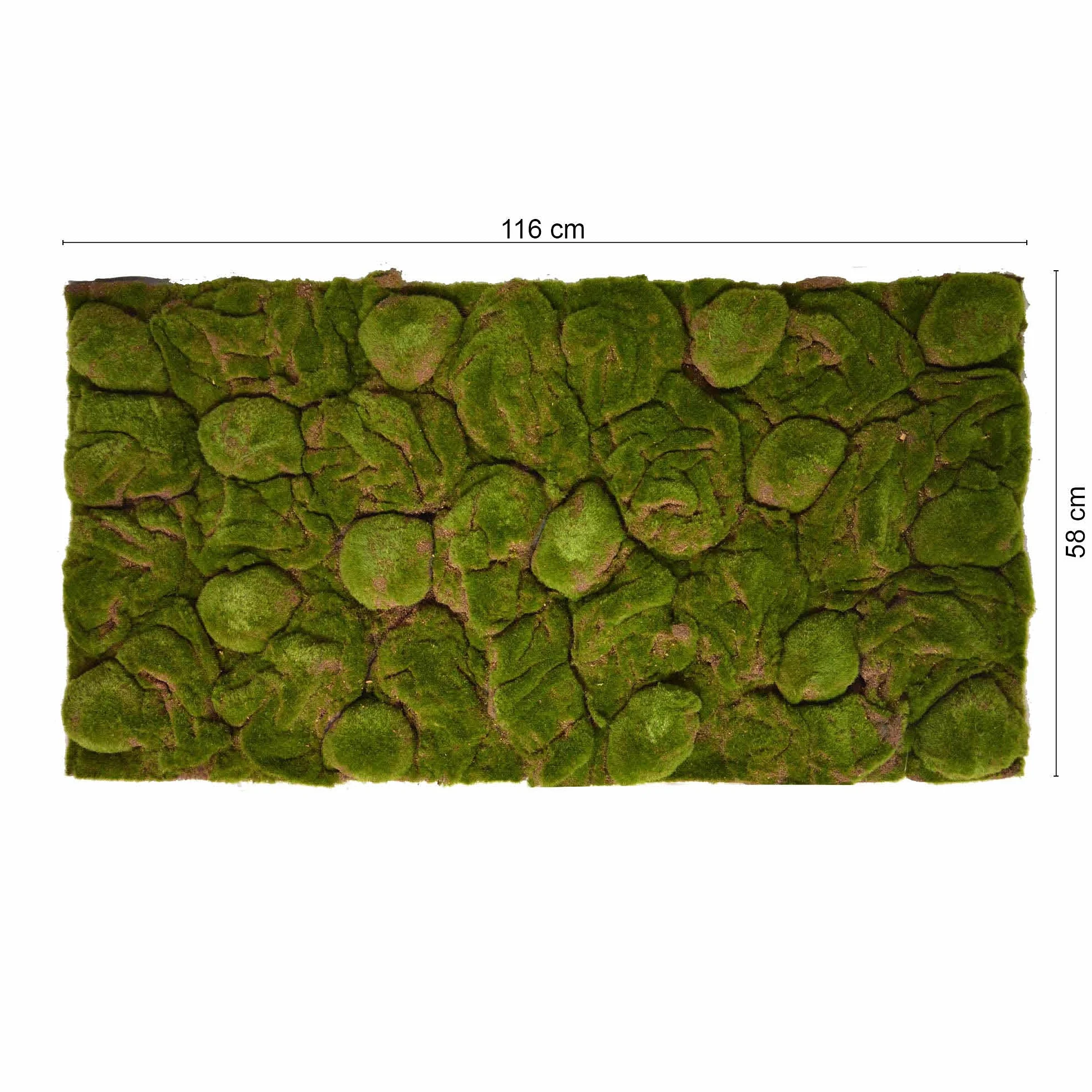 REPITERRA Terrarium tylna ściana 3D dekoracja tła naturalny mech 116 x 58 cm