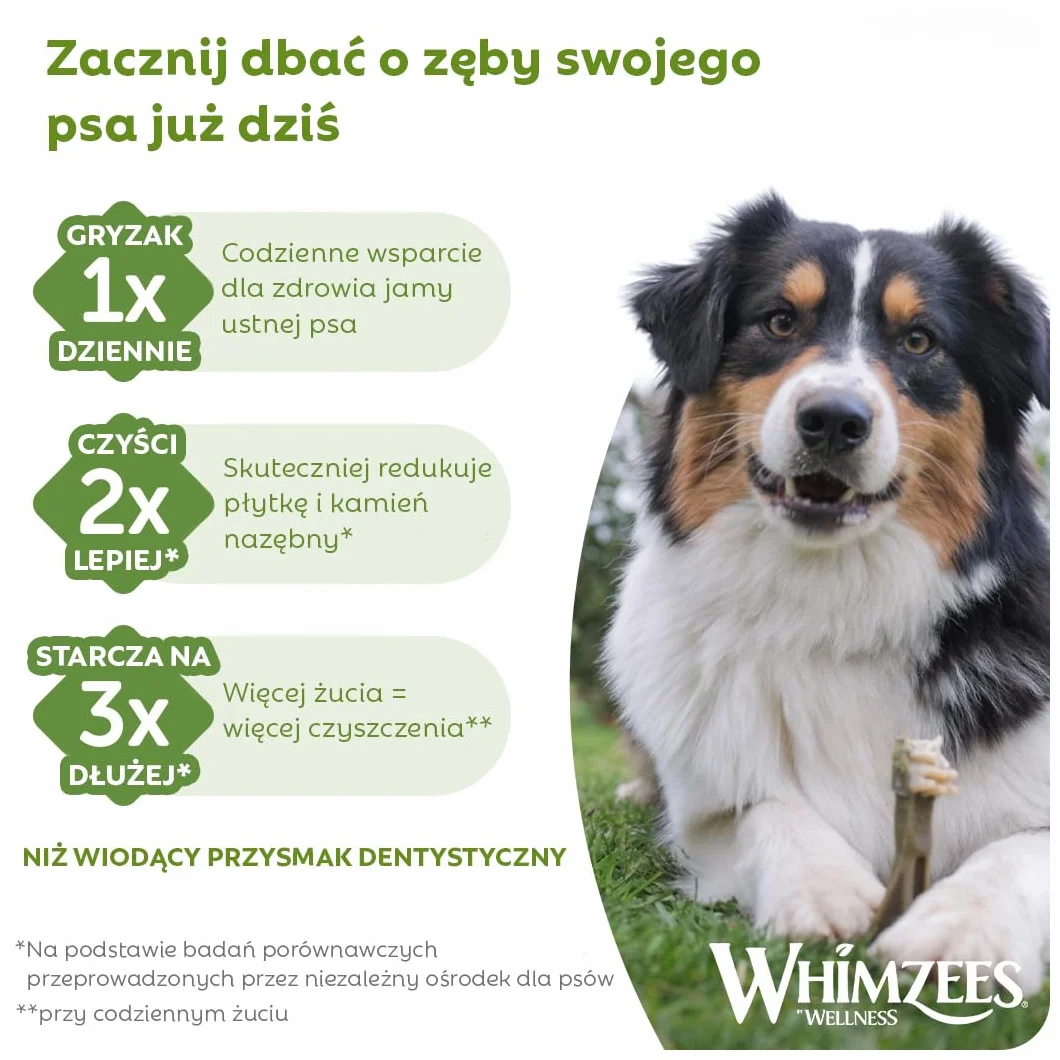 WHIMZEES Szczoteczka S 24 Sztuk Gryzaki Dentystyczne dla Małych Psów Naturalne Bezzbożowe
