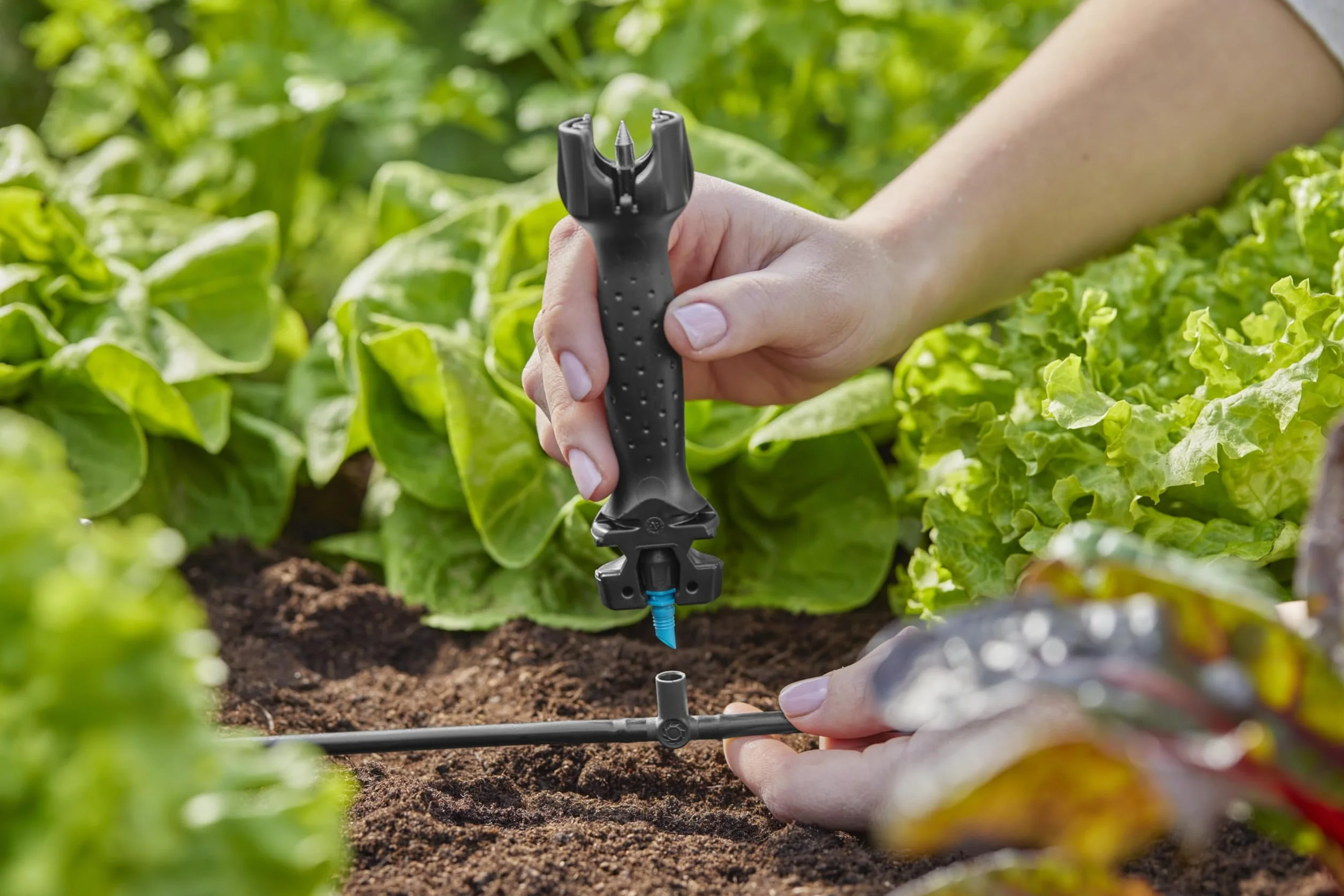Gardena System Micro-Drip trójnik 4,6 mm (3/16 cala): Praktyczne połączenie do ustalania dysz rozpylających i kroplowników końcowych, 5 szt. (13216-20)