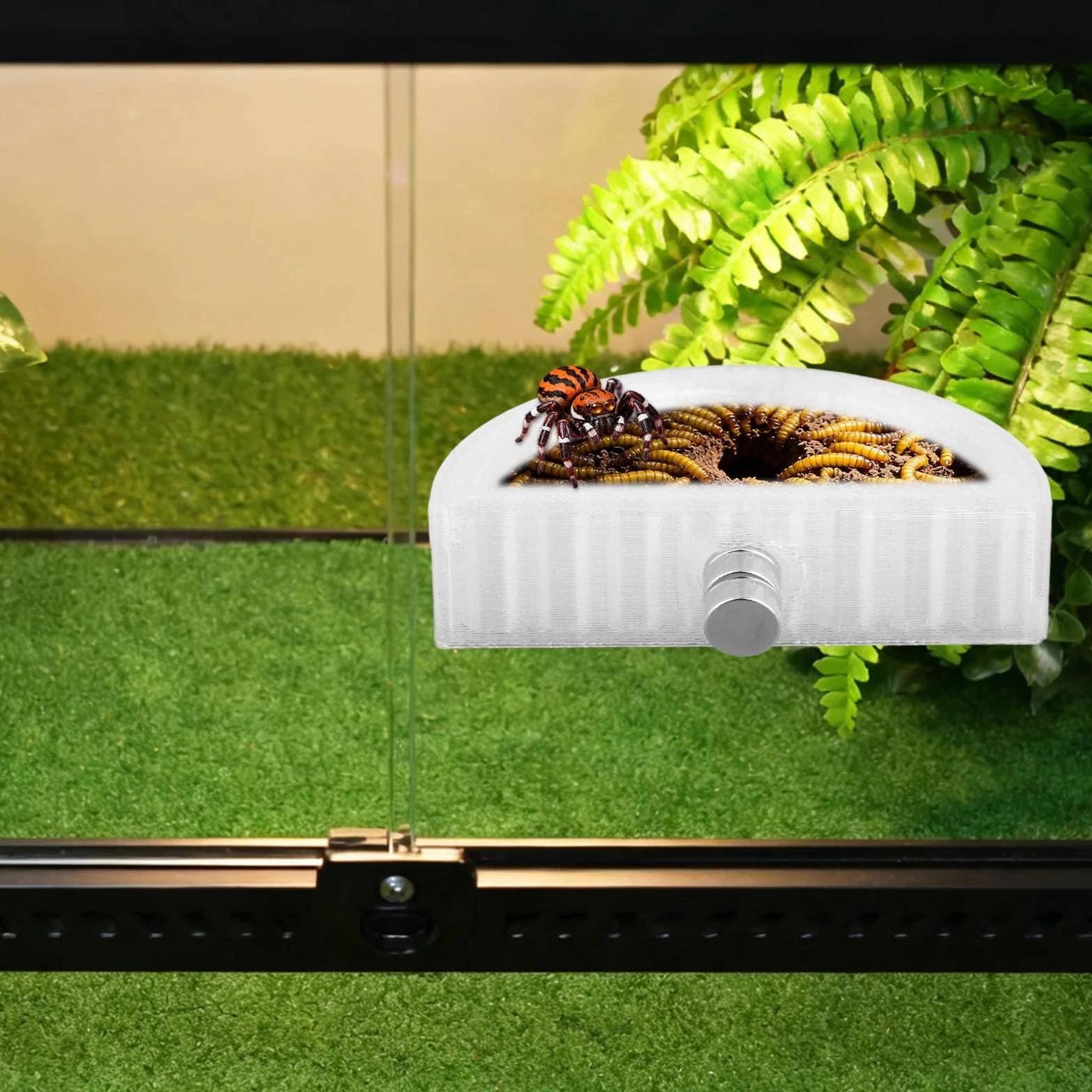 Magnetyczny Półokrągły Karmnik dla Pająków Skaczących Miseczka na Wodę Szczelna Akcesoria do Terrarium