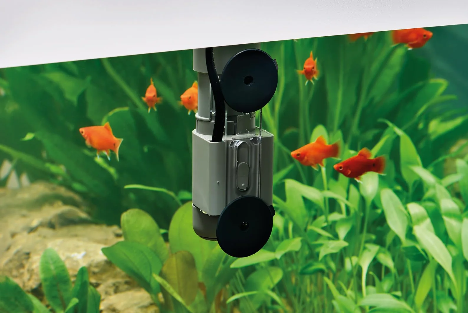 Oase CrystalSkim 600 Skimmer powierzchnia 600 l, 4,5 W do wody słodkiej i morskiej