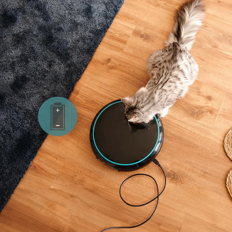 Cecotec Pumba 1600 Purrfect Meal Automatyczne Karmidło 1,6L 4 Sekcje LED Timer Dyktafon
