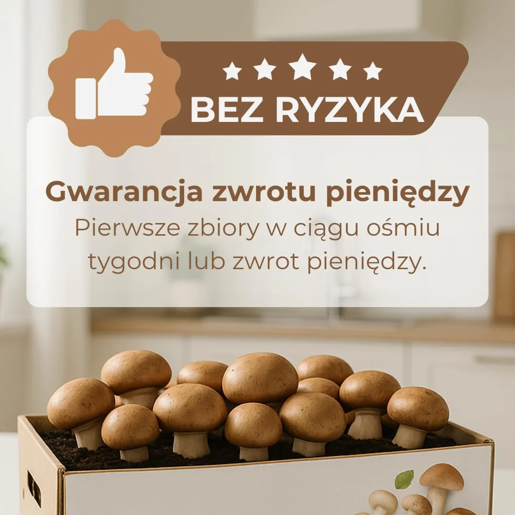 Hawlik Pilzbrut grzybnia - małe kamienne grzyby kultura grzybów do samodzielnej uprawy - zestaw do uprawy grzybów - uprawa grzybów to dziecinnie prosta - zestaw do uprawy grzybów w domu, Klein Braun