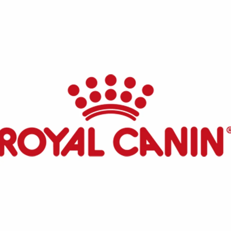 Royal Canin Mini Adult in Sauce | Podwójne opakowanie | 2 x 12 x 85 g | Mokra karma dla małych, dorosłych psów (od 1 do 10 kg) | Od 10 miesięcy do 12 lat | Dostosowana zawartość energii