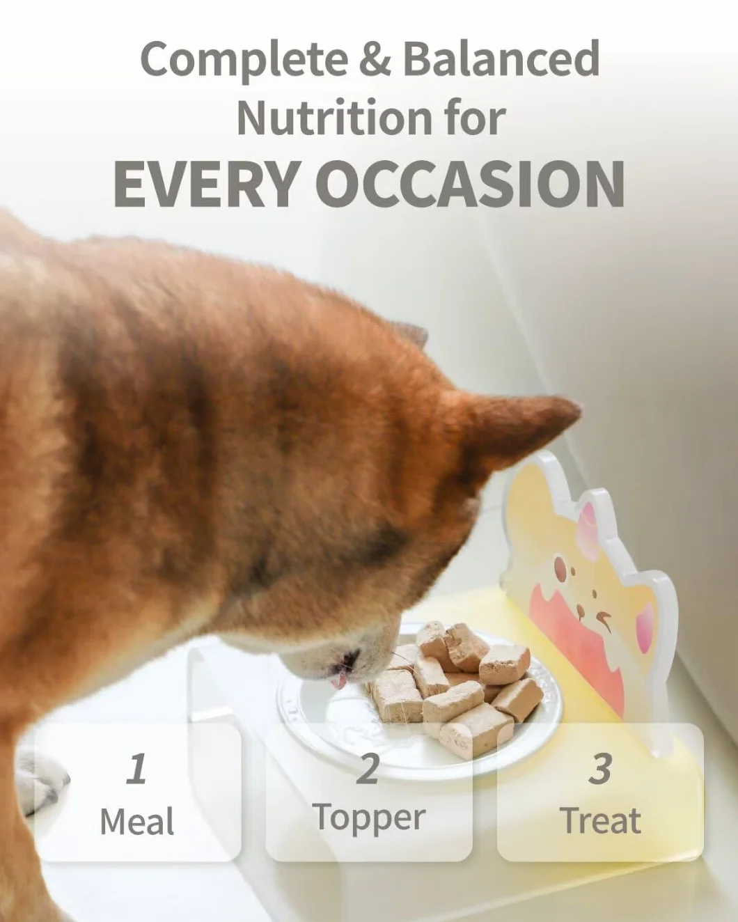 Dog Freeze-Dried Dog Food Duck Recipe 14 oz