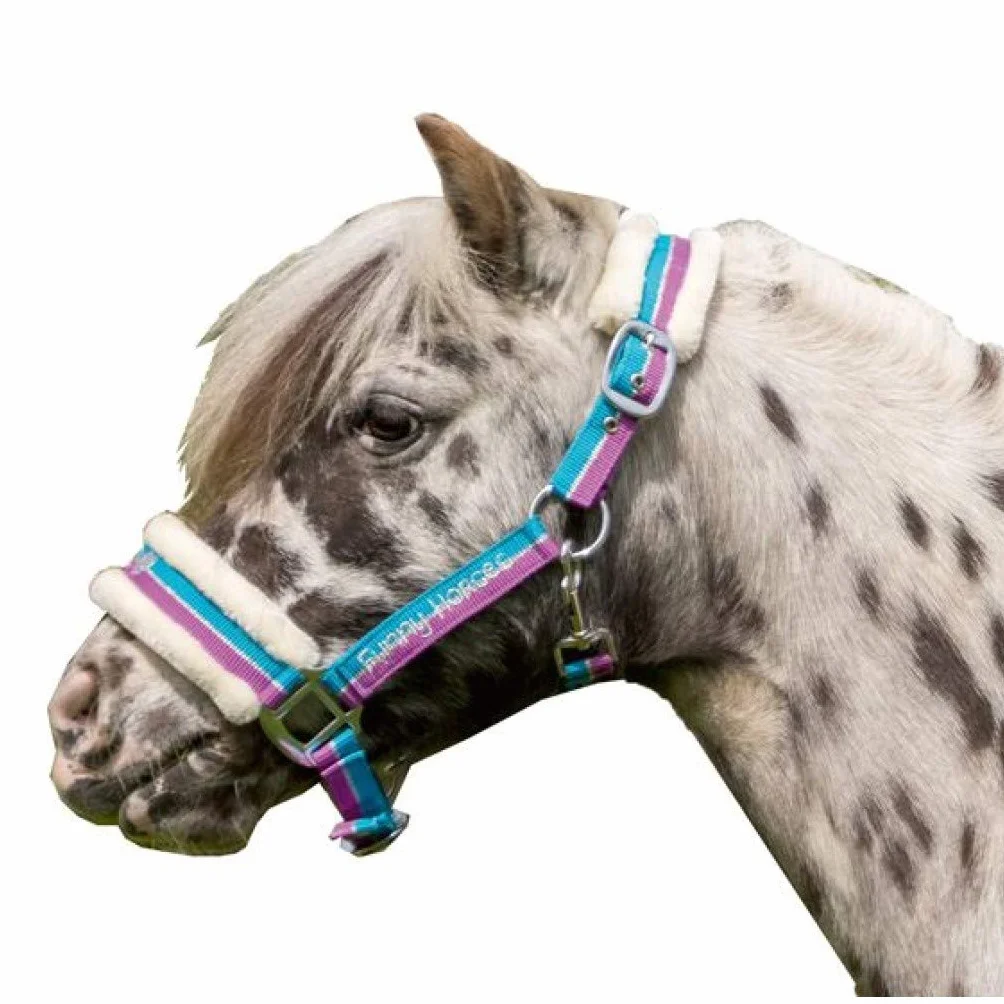 HKM Funny Horses Kantar Fioletowy/Turkusowy/Srebrny Kucyk