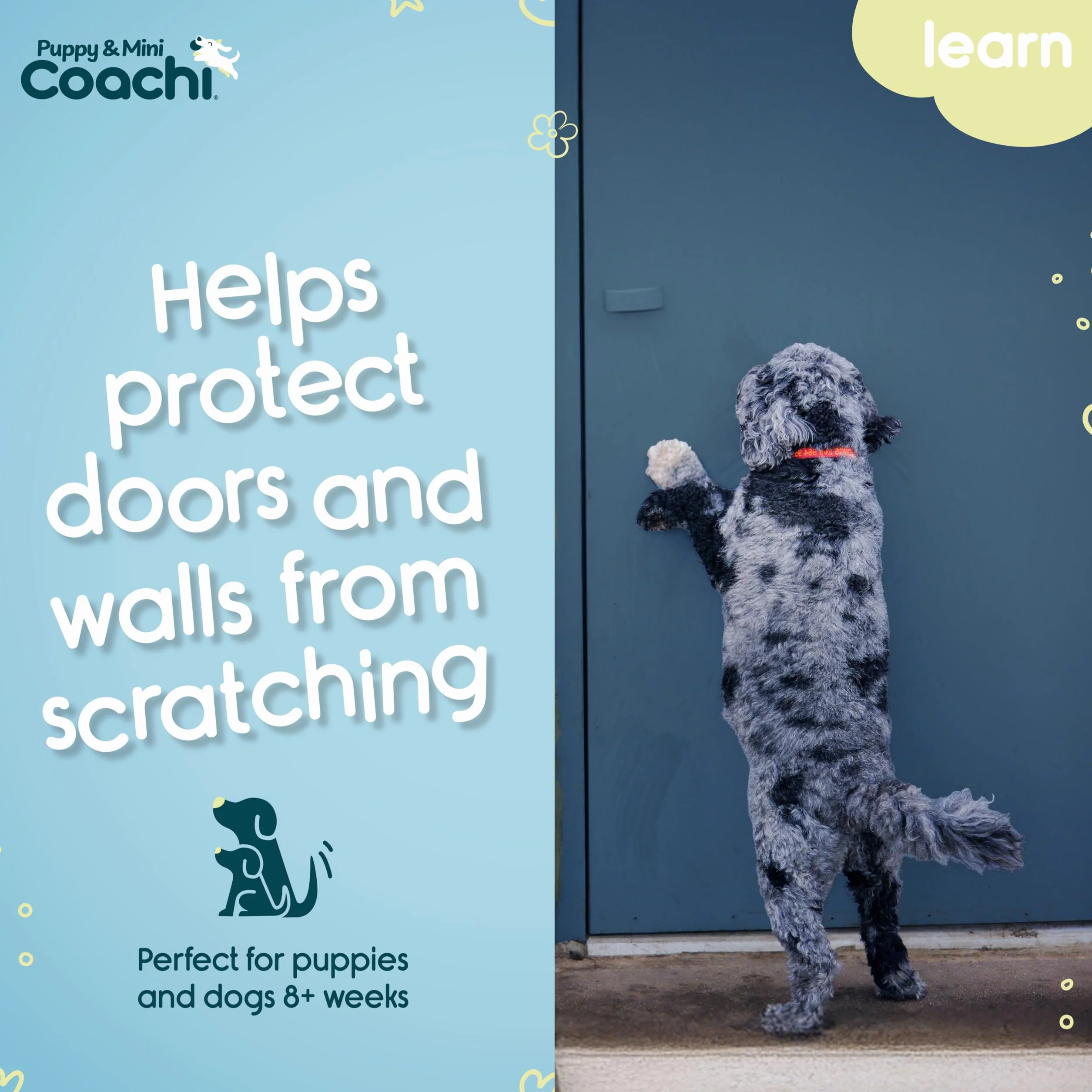 Coachi Puppy & Mini Toilet Training Bells - odpowiednie dla szczeniaków lub nowo nabytych psów, nauka czystości w domu, zapobieganie drapaniu drzwi. Akcesorium dla psa, świetne do treningu klikerowego