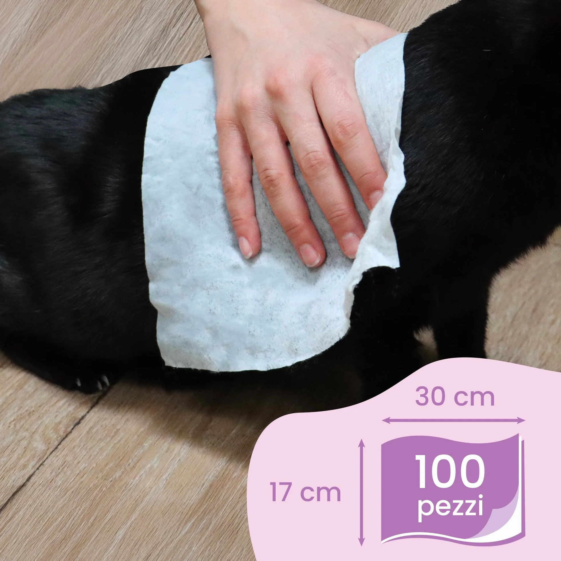Camon Chlorheksydyna i mirra higieniczne chusteczki dla psów