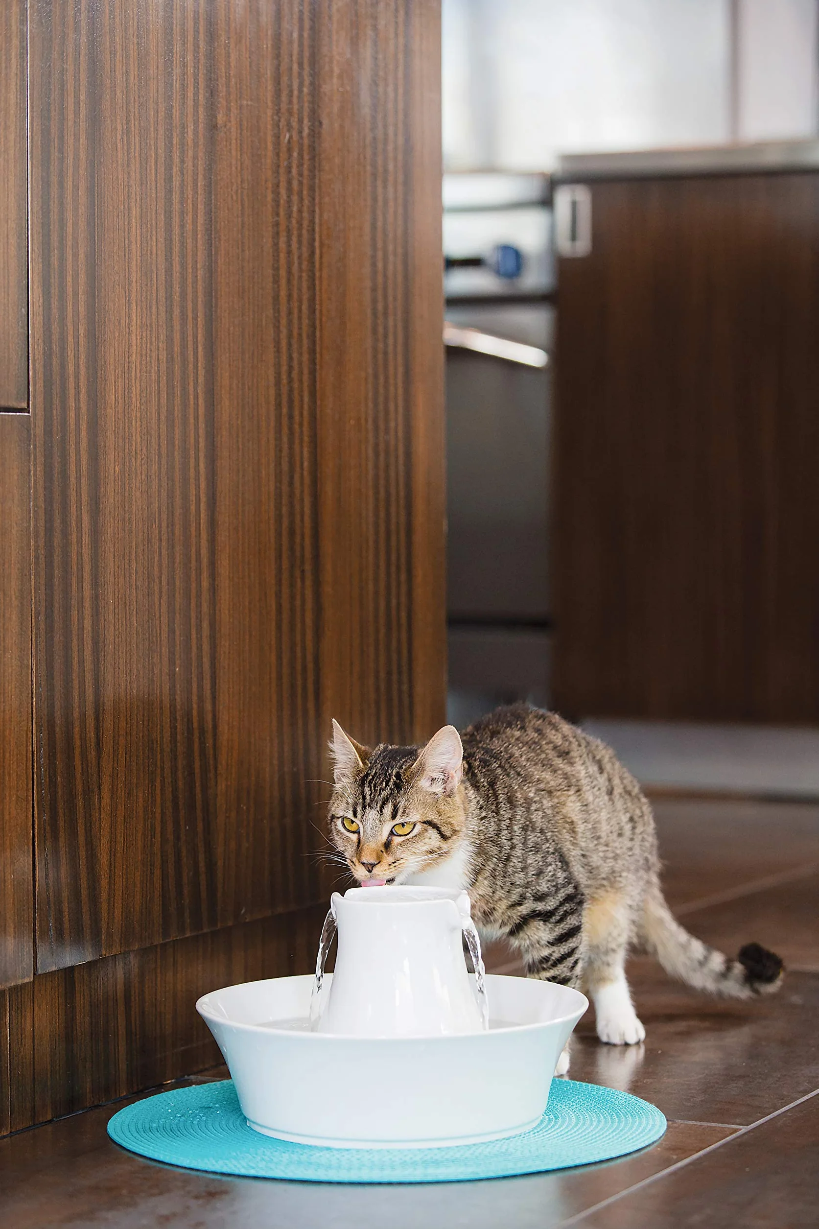 PetSafe Drinkwell Ceramiczna fontanna do picia Avalon 2 L biała