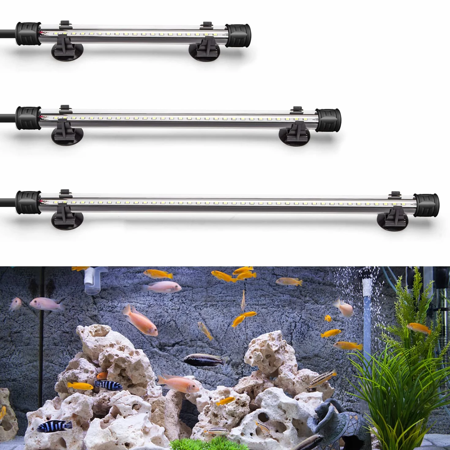 Nobleza - Lampa akwariowa LED, lampa do akwarium, oświetlenie roślin do akwarium z różnym napięciem, długość (1 W, 20 cm, białe światło)