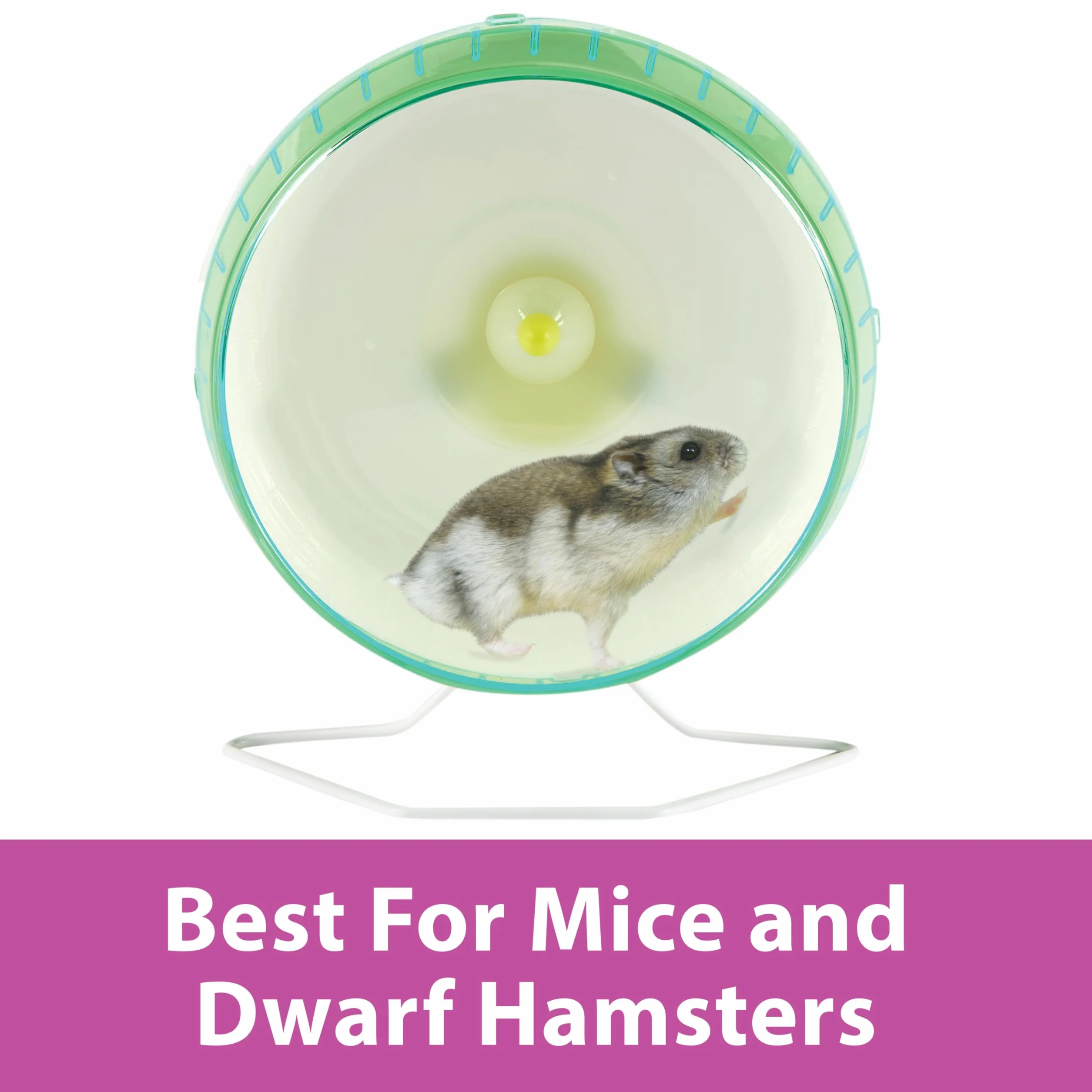 Kaytee Spinner mini kółko do ćwiczeń 10 cm dla chomików karłowatych myszy