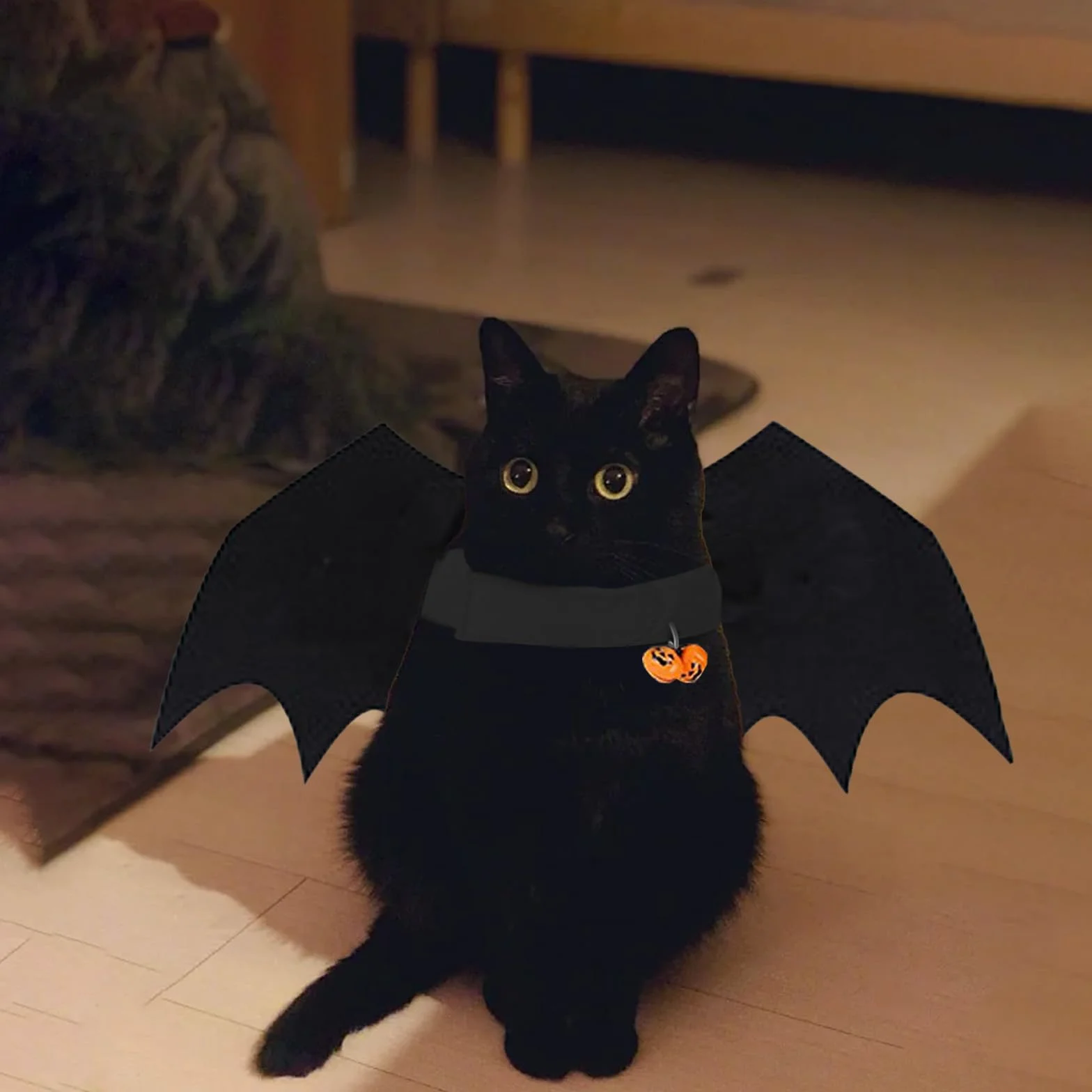 GWAWG Skrzydła nietoperza dla zwierząt domowych, kostium na Halloween, regulowane skrzydła wampira z dzwonkami dyniowymi, fantazyjny strój dla kota, psa, na Halloween, cosplay, urocze akcesoria