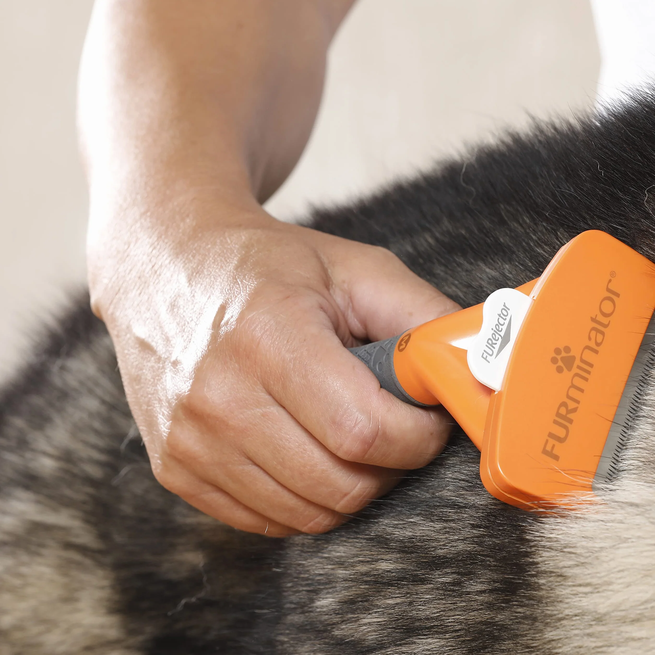 Furminator Szczotka dla Psów Szary/Pomarańczowy M