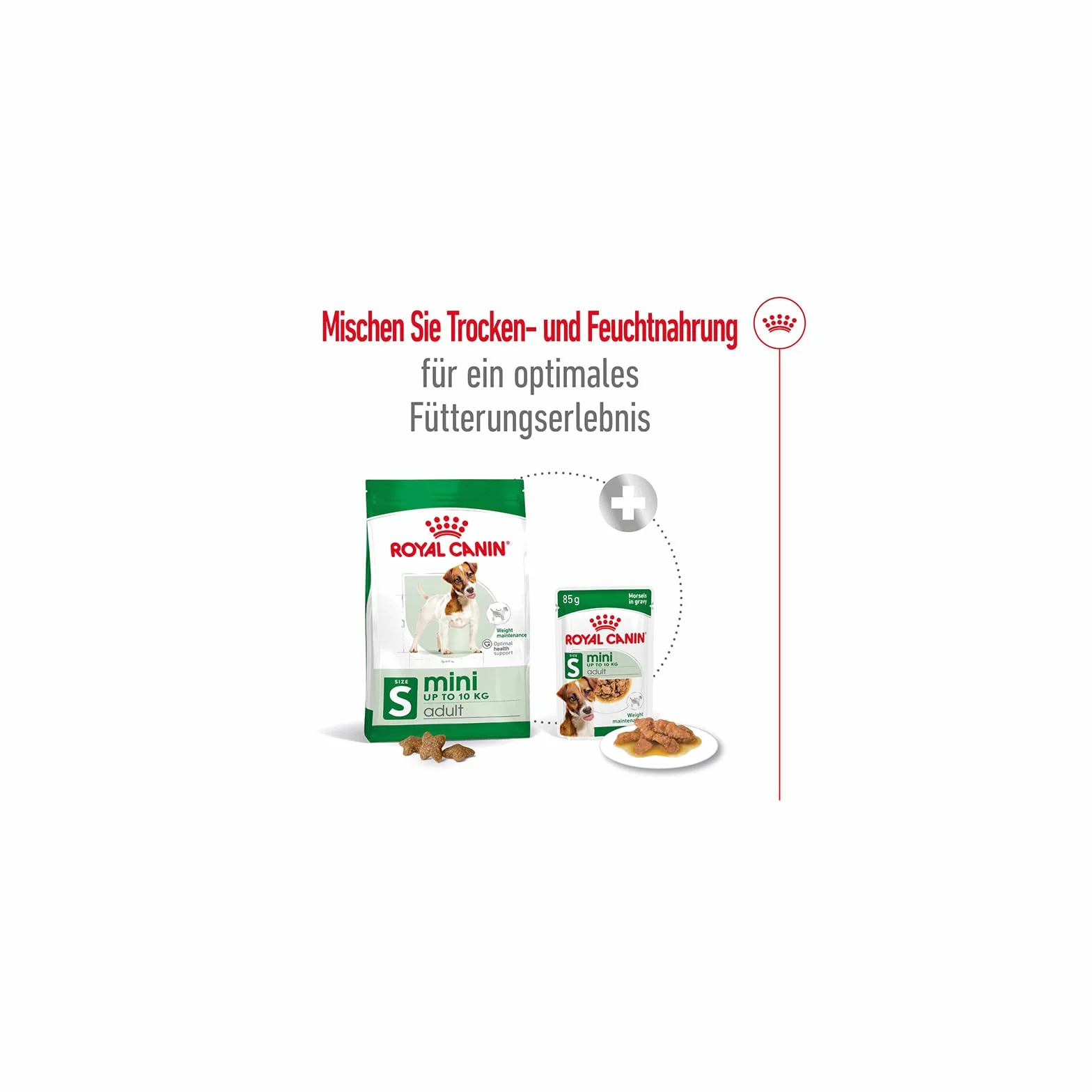 Royal Canin Mini Adult in Sauce | Podwójne opakowanie | 2 x 12 x 85 g | Mokra karma dla małych, dorosłych psów (od 1 do 10 kg) | Od 10 miesięcy do 12 lat | Dostosowana zawartość energii