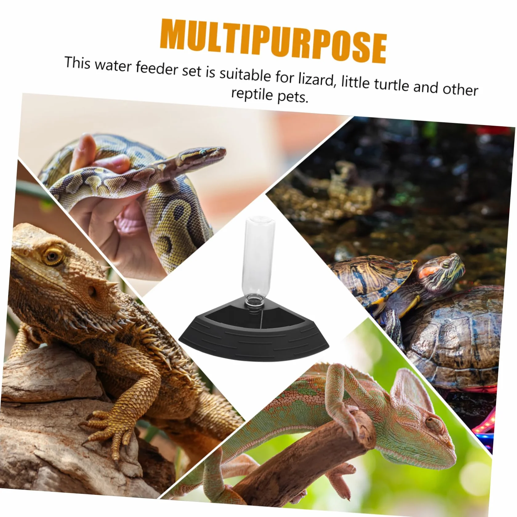 Happyyami Crawling Pet Water Dispenser dla Jaszczurek z Podstawą Łatwy Czyszczeniu Stabilny