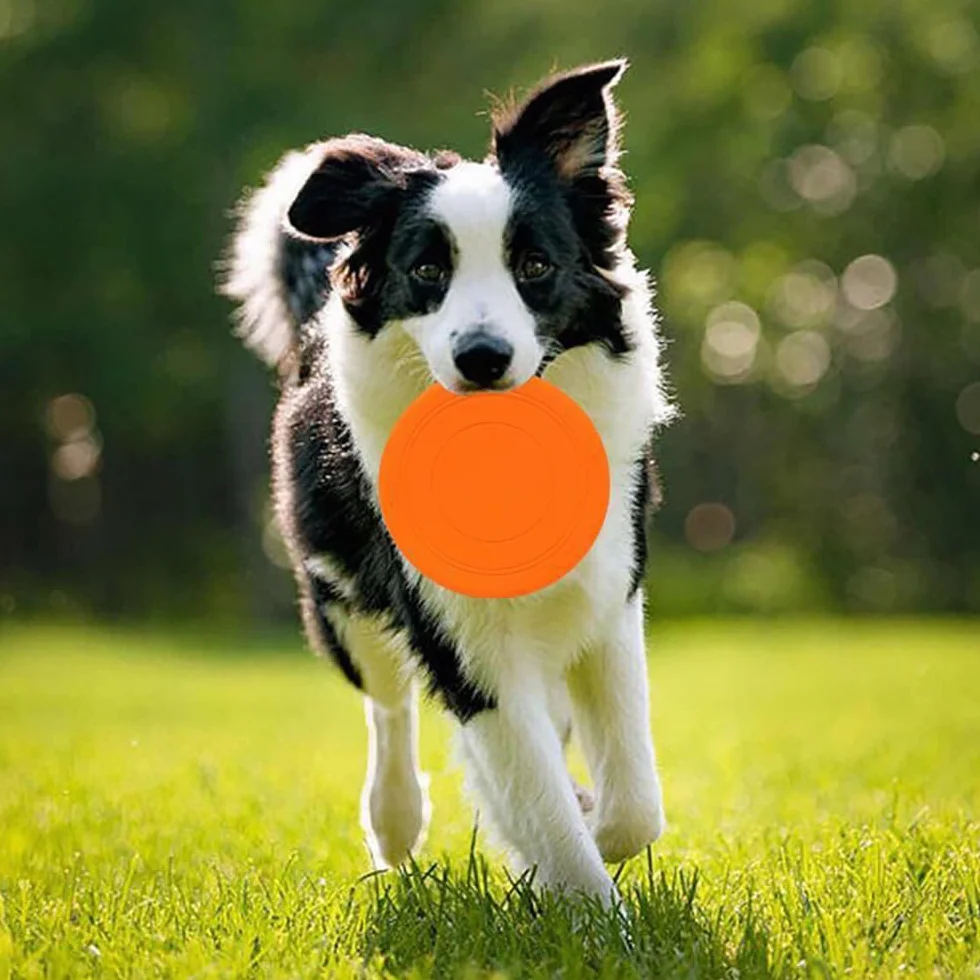 Frisbee, 6 sztuk frisbee, zabawka dla psa, krążek 17,8 cm, frisbee, duże psy, zestaw zabawek do treningu psa, rzucania, łapania i zabawy