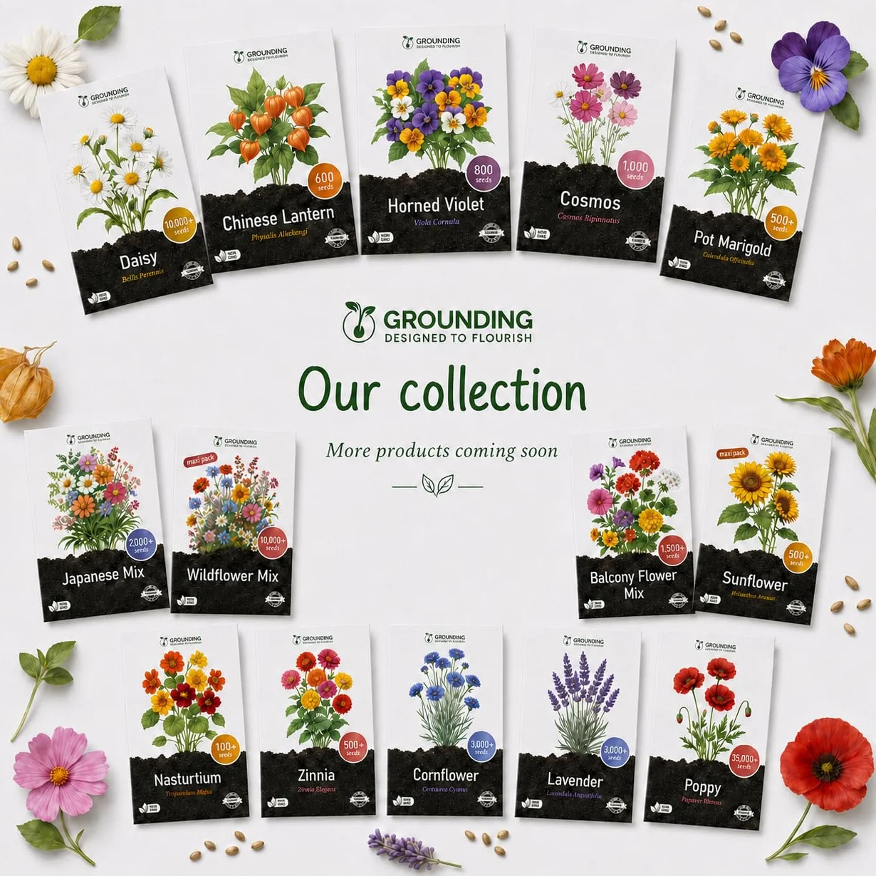 Grounding - Zinnia Elegans “Zinnita Mix” Seeds, 350+ seeds - Compact globe-shaped multicolor flowers (~20 cm) for pots, planters & beds - European Quality