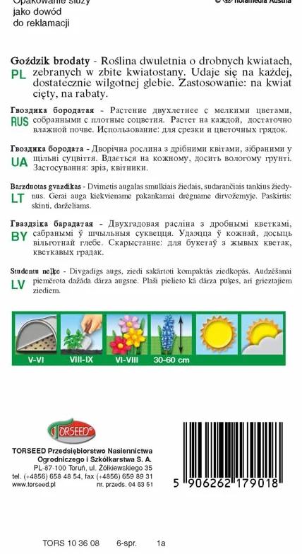 Dianthus barbatus nasiona goździka – gęste kępki kwiatów, idealne do kwiatów ciętych, dwuletnie kwitnienie, dostosowuje się do różnych gleb, rośnie 30-60 cm wysokości (0,5 g)