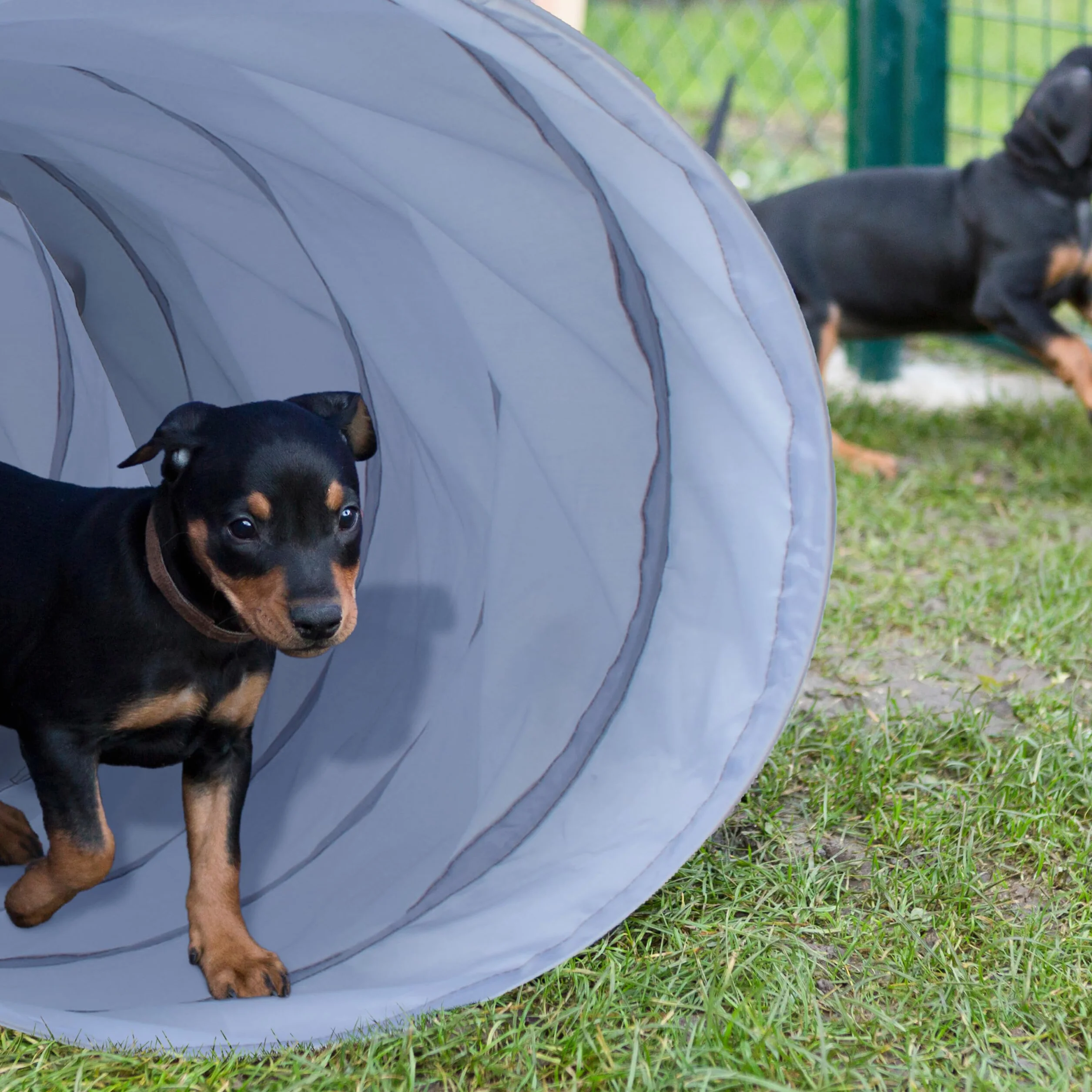 Relaxdays Hundetunnel 2 m składany tunel dla psa Ø 40 cm szary poliester