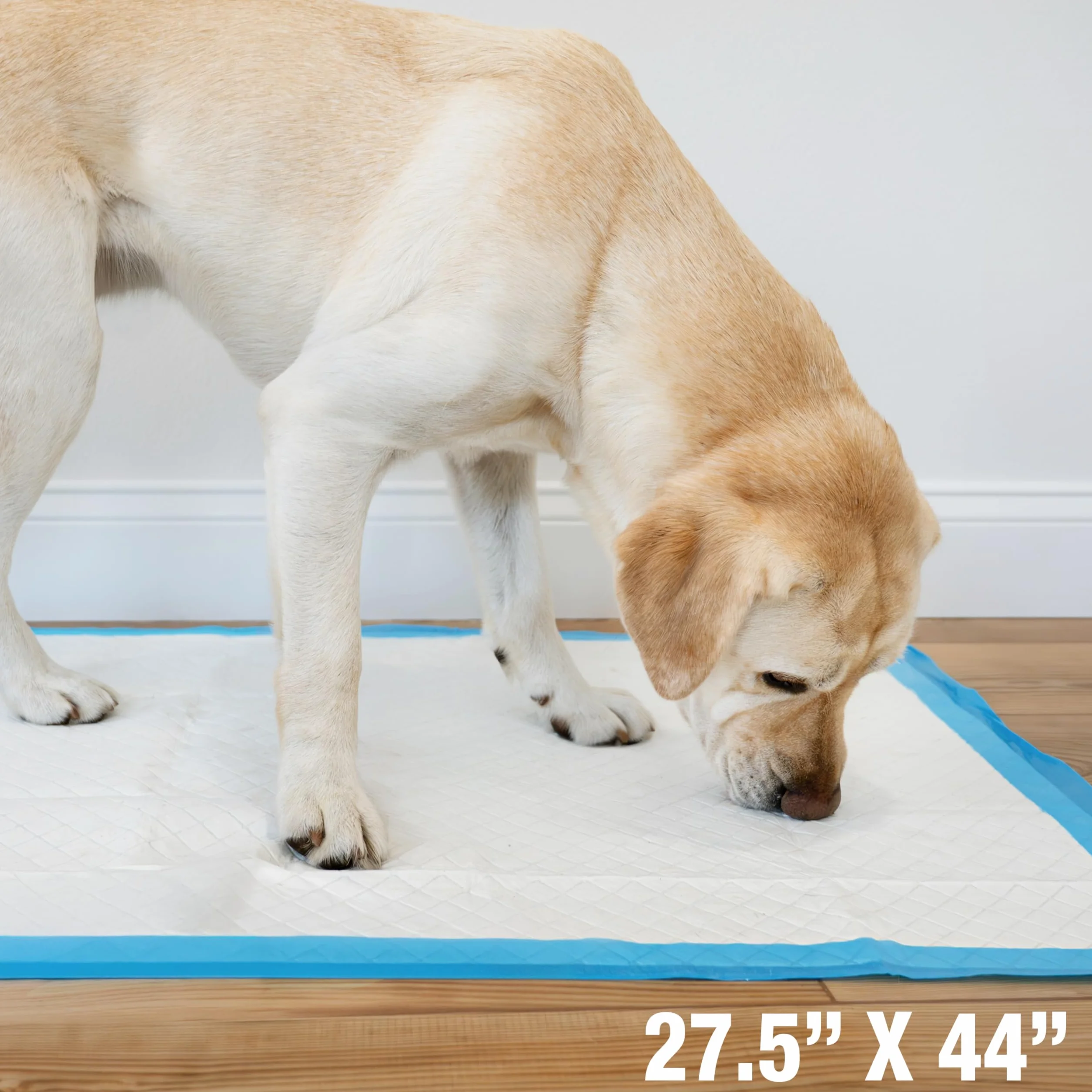 Four Paws Wee-Wee najwyższej jakości podkładki do siusiu dla psów i szczeniaków, z 6-warstwową technologią szczelną, do treningu w domu, gigantyczne, 69,85 x 111,76 cm, 18 szt