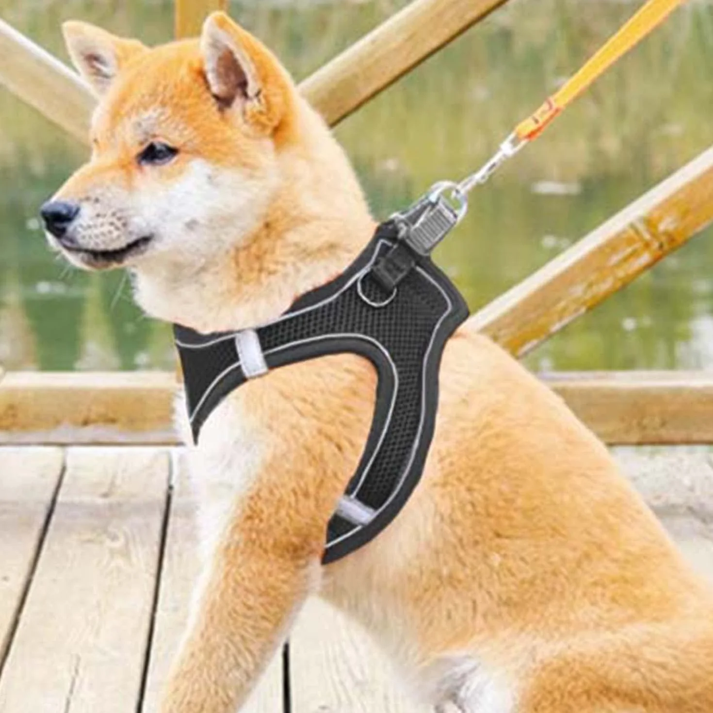 AiTodos® Szelki Dla Psa i Kota Regulowana Wyściełana Oddychająca Odblaskowa Uprząż Bezpieczna Czarny Rozmiar S