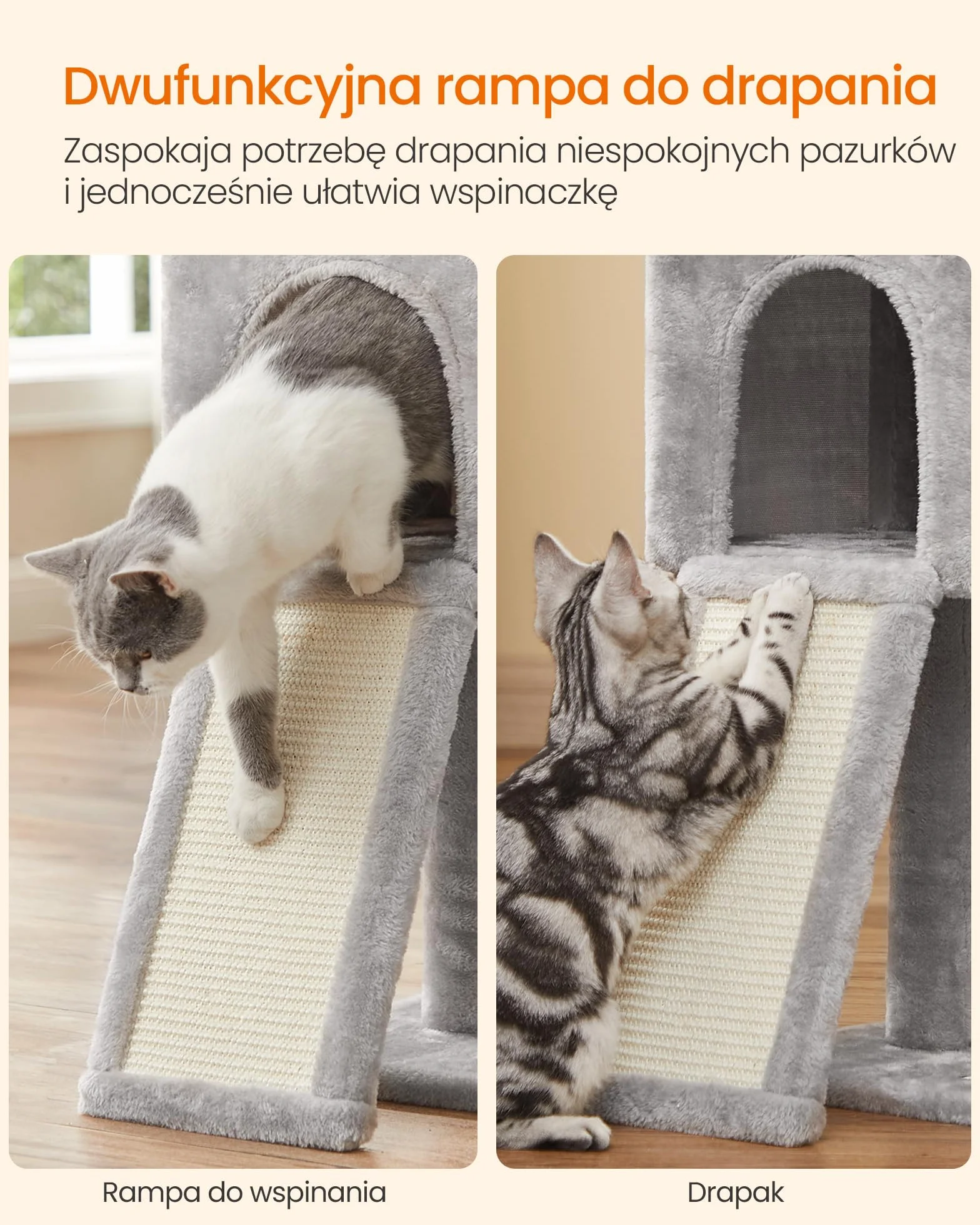 FEANDREA Drapak, drapak dla kotów domowych, kociąt, jasnoszary PCT143W01