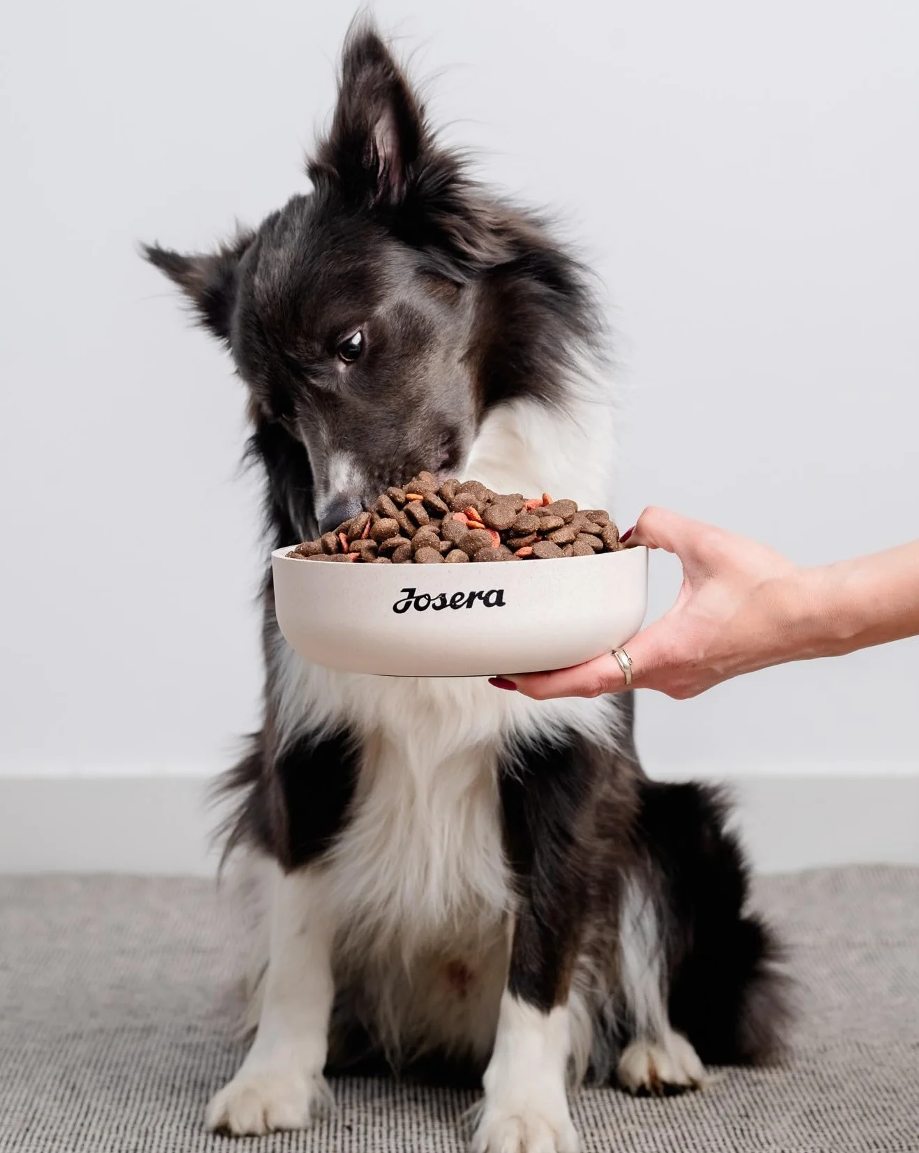 JosiDog Adult Sensitive 2,7 kg sucha karma dla psów wrażliwych