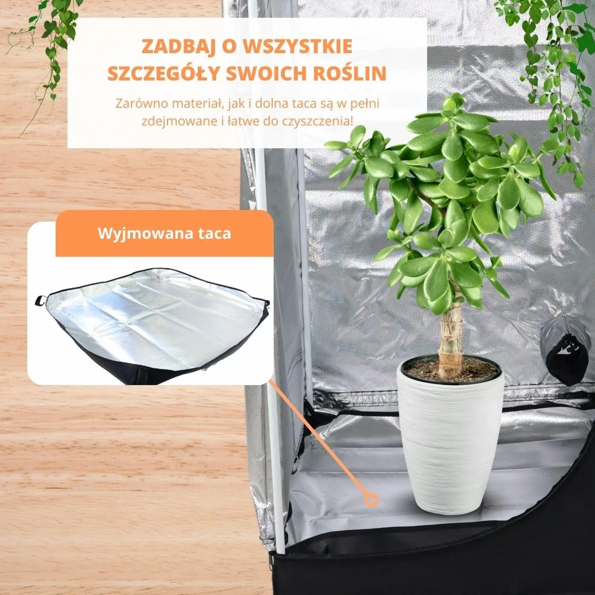 Mobiclinic®, Namiot do uprawy wewnętrznej, 240x120x200cm, Growbox, Premium mylar 97% odblaskowy, Hydroponiczny, Wodoodporny, Zdejmowane dno, Gruba, Tkanina nylonowa, Solidna konstrukcja, Grow tent