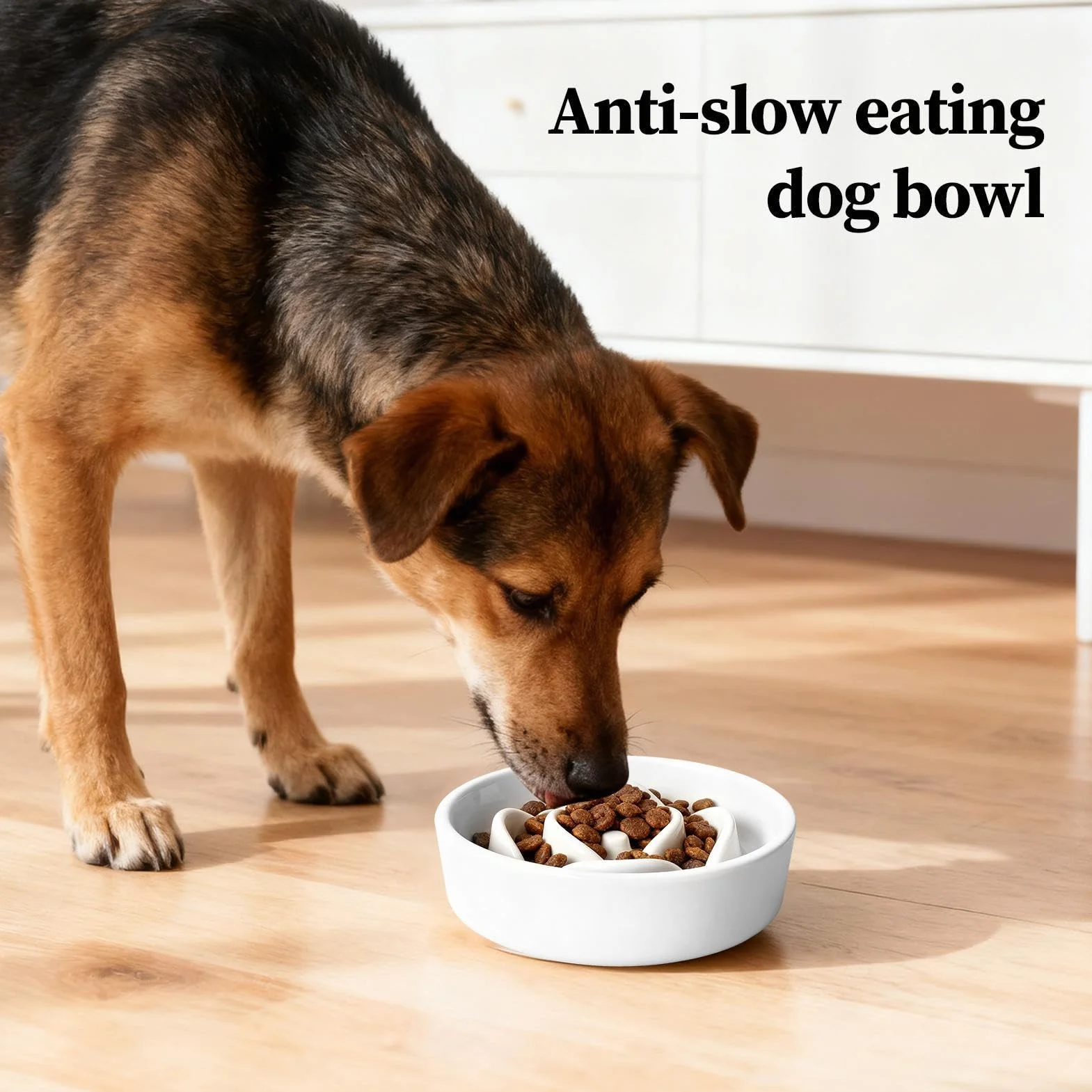 Dog Bowl Slow Feeder Interactive Feeding Game Puzzle Bowls Healthy Eating Prevents Bloating Choking Pet Bowl