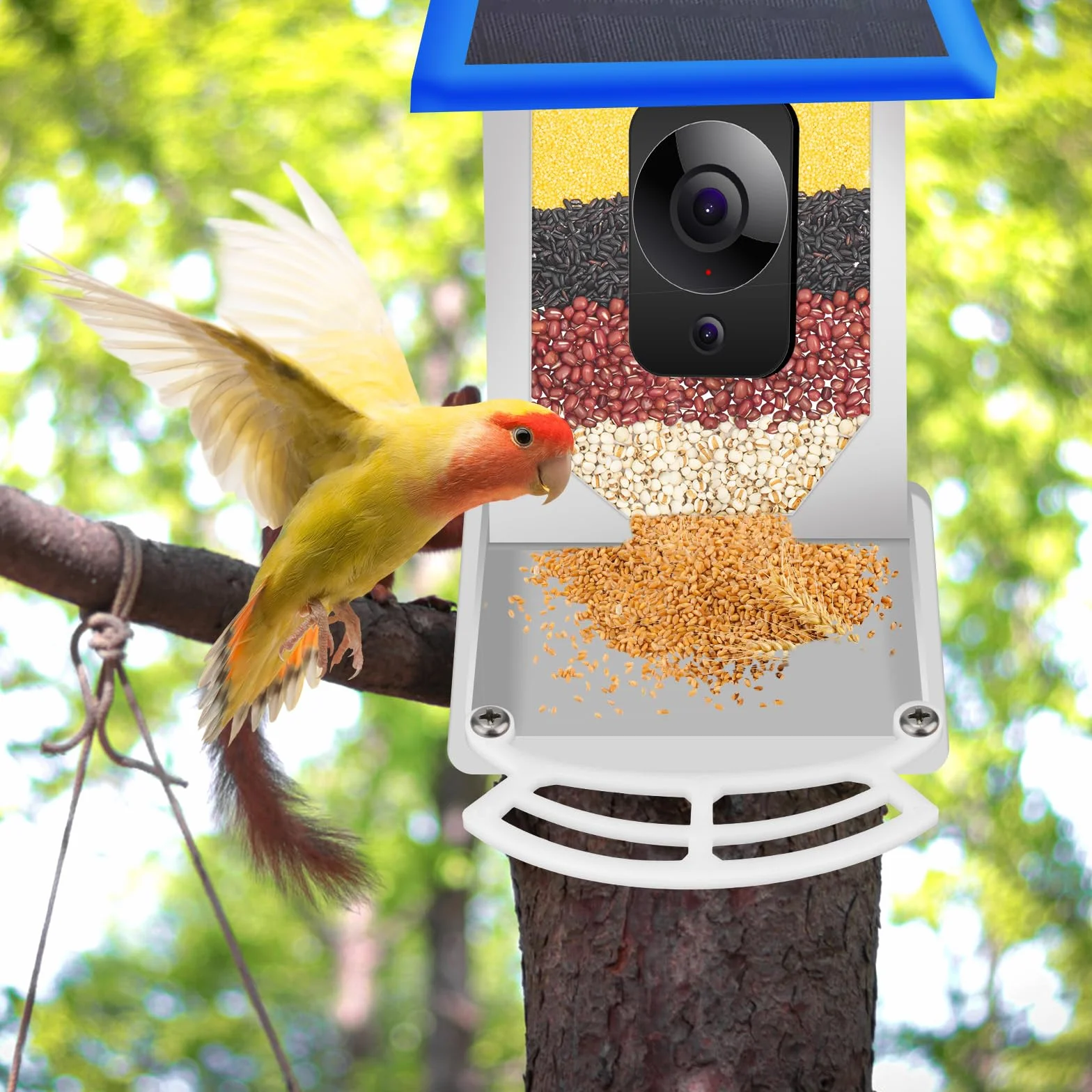 Grzeda dla Bird Buddy, Przedluzka do Karmnika dla Ptaków z 4 Srubami, Akcesoria Kompatybilne