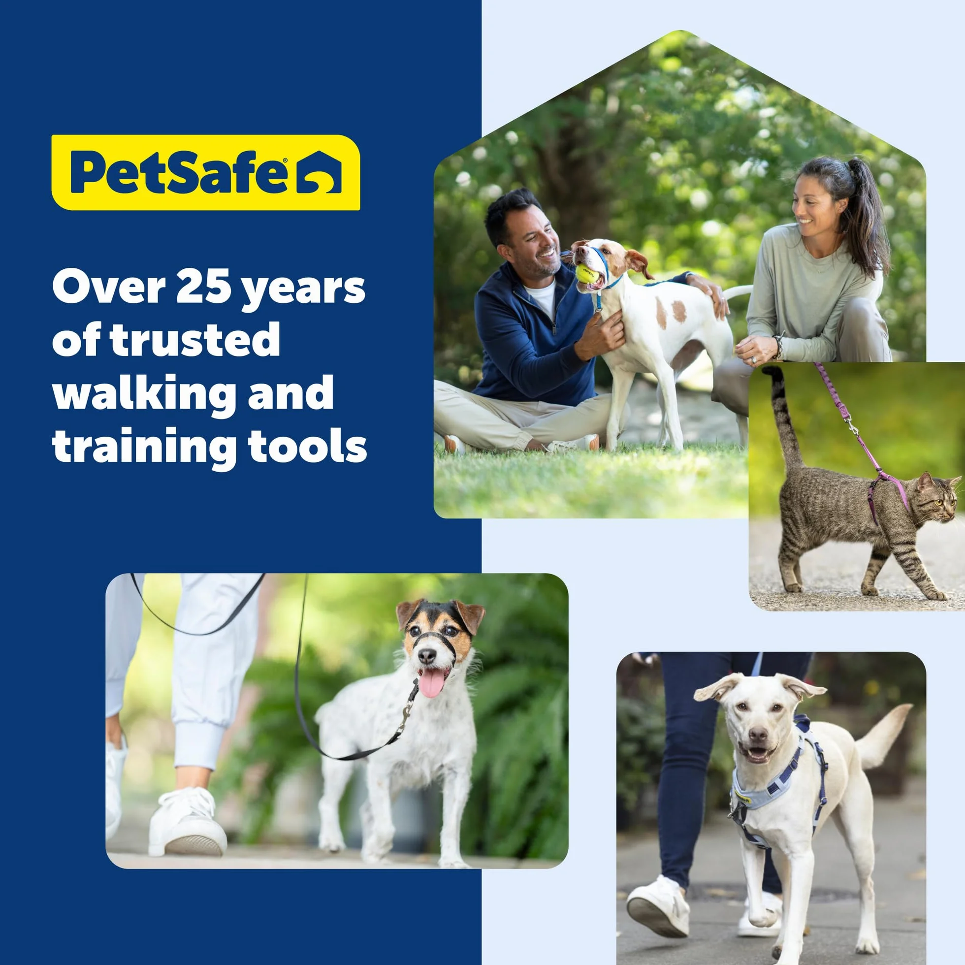 PetSafe Come With Me Kitty uprząż i smycz na bungee, rozmiar M, czarny/srebrny