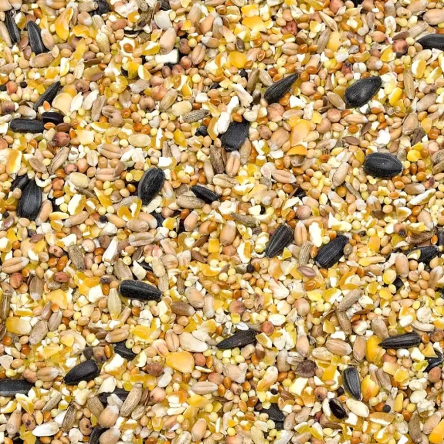 GiDeli Karma dla ptaków zimowa 2,5 kg – dla dzikich ptaków, sikorek, z nasionami lnu, omega-3, wapń