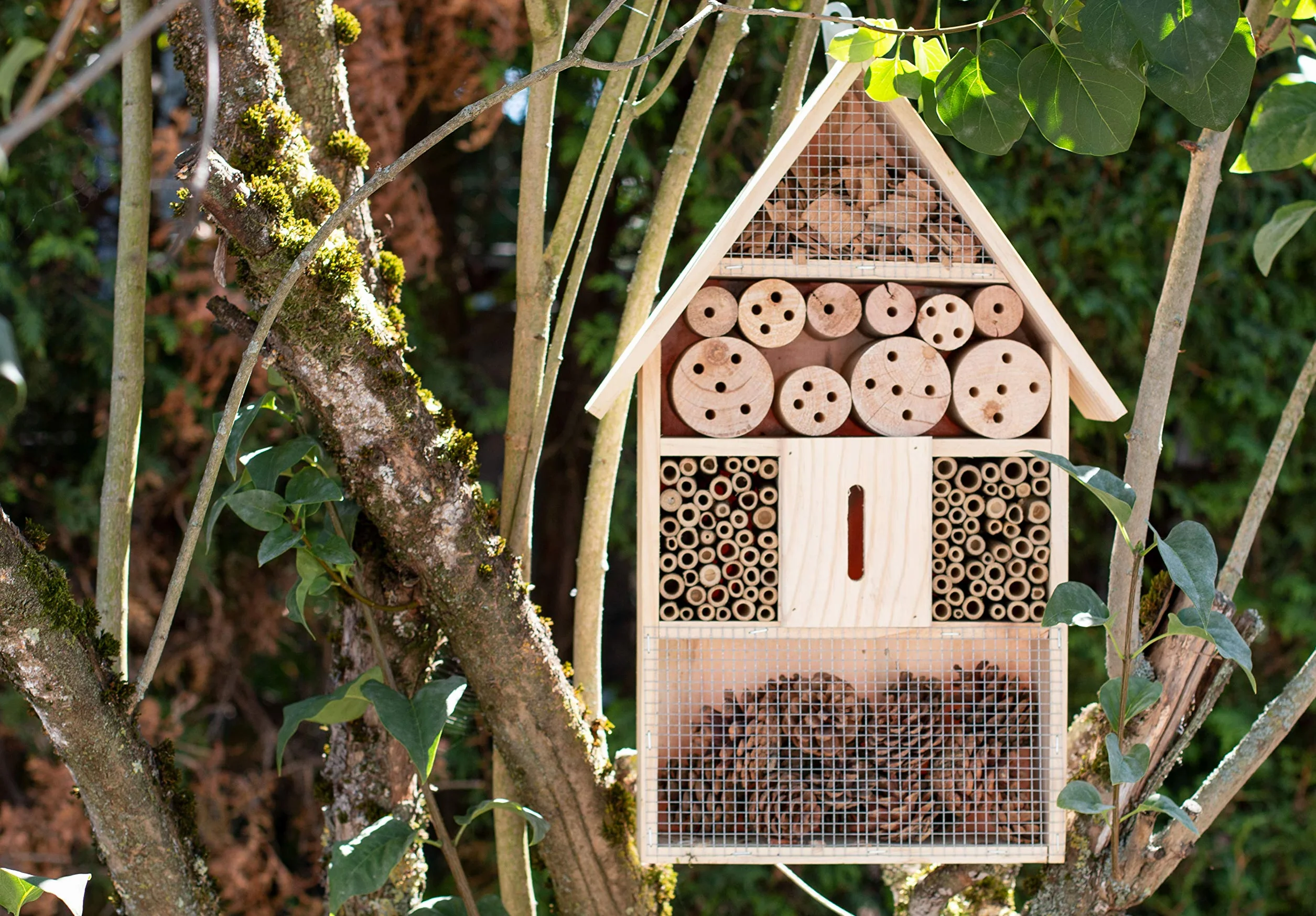 Brandsseller Domek dla owadów XXL, naturalny domek dla owadów, domek dla owadów latających – pszczoły, motyle, biedronki i inne zwierzęta, ok. 48 x 31 x 10 cm