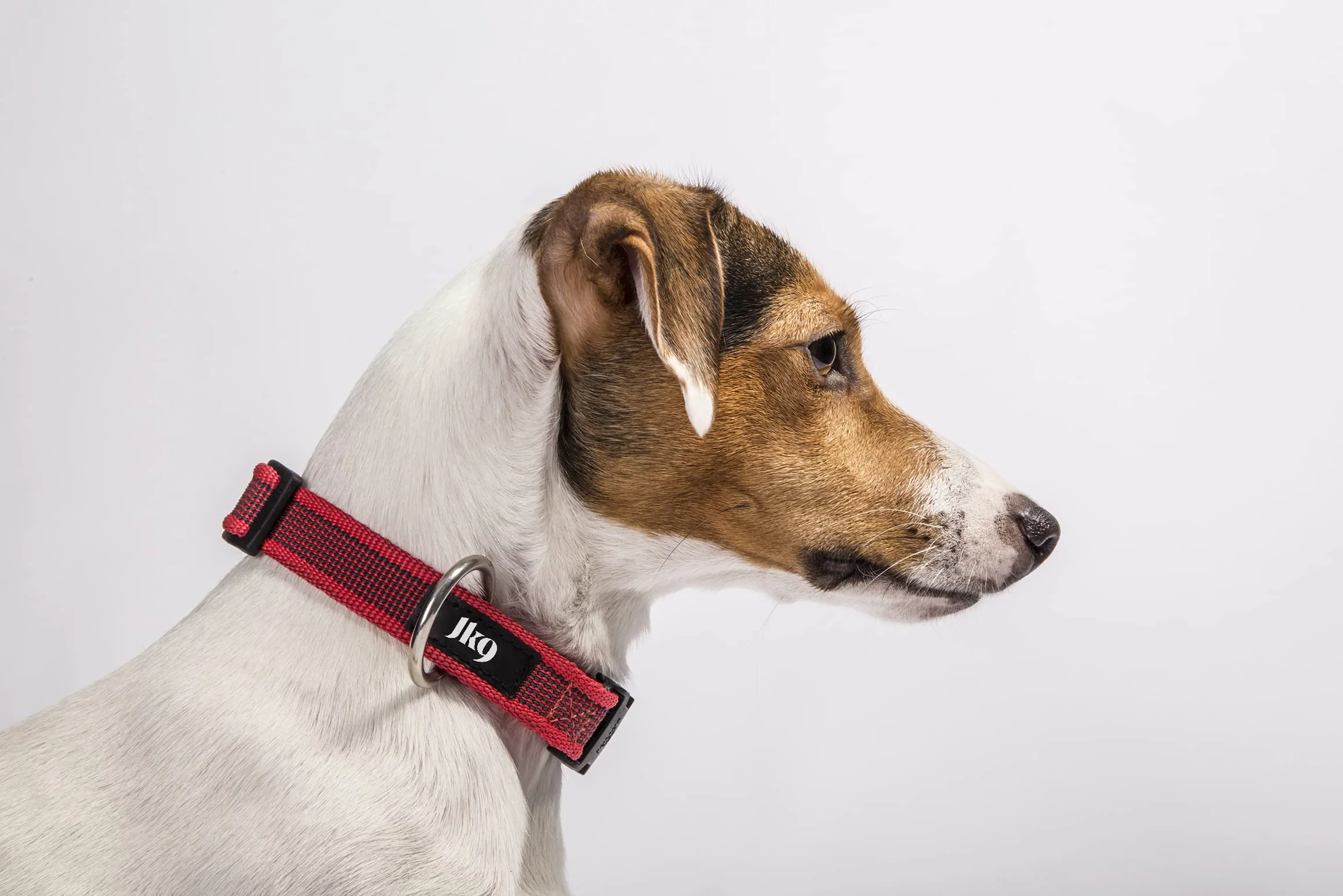Julius-K9 obroża Color & Gray, 20 mm (27–42 cm), czerwono-szara