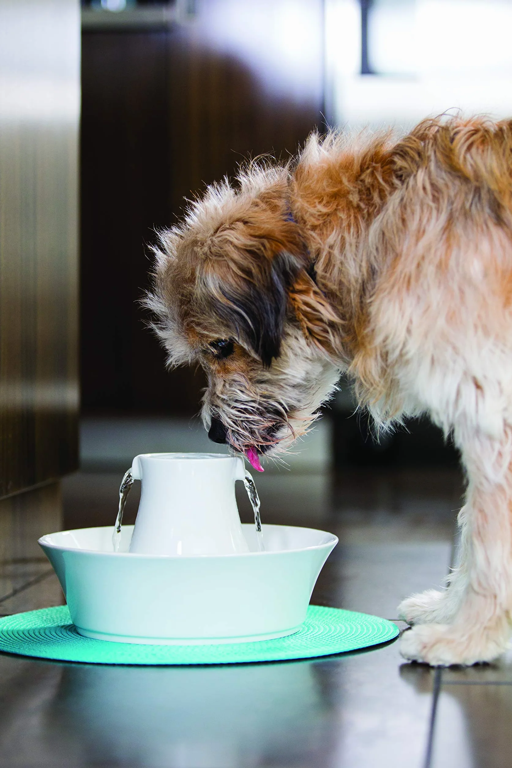 PetSafe Drinkwell Ceramiczna fontanna do picia Avalon 2 L biała