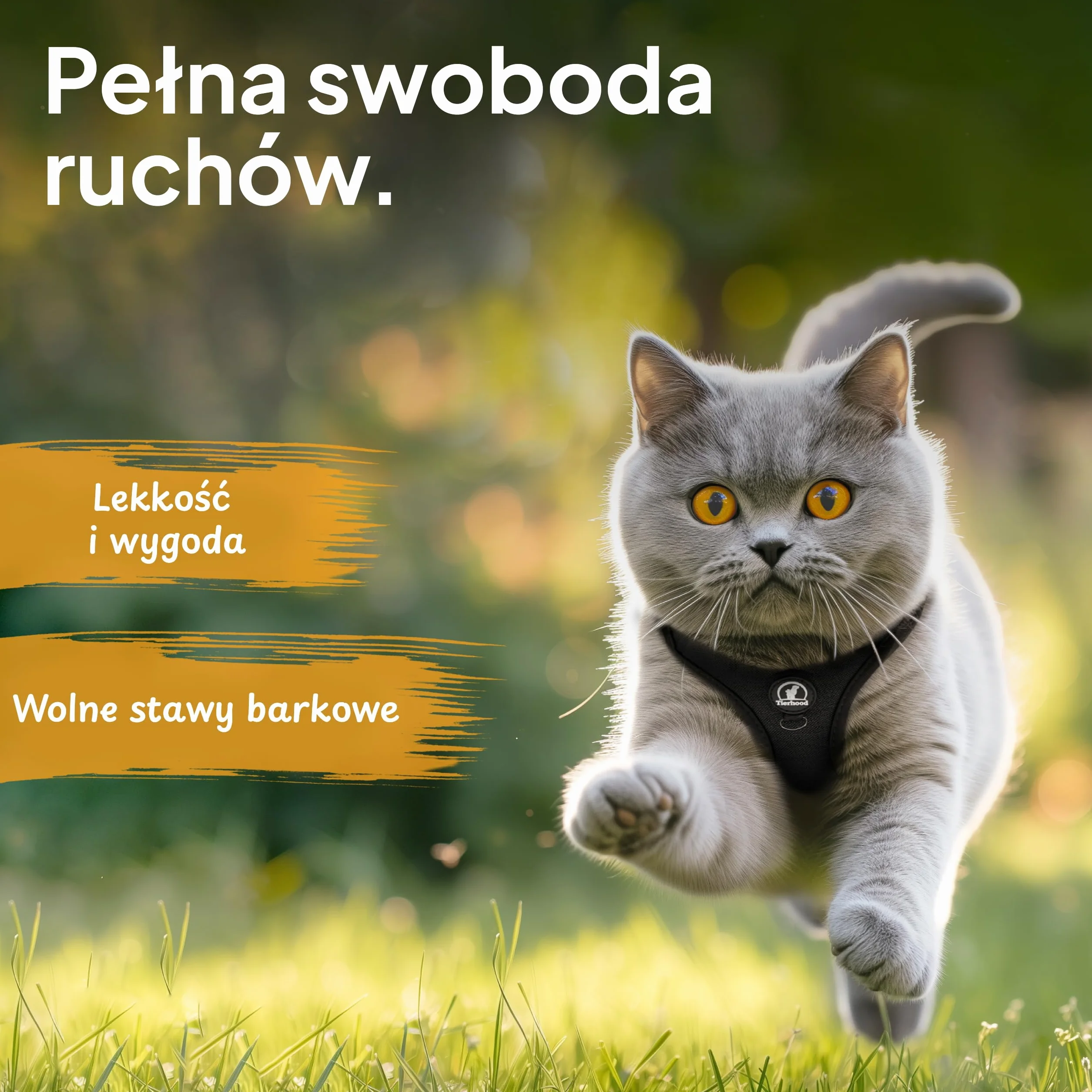 Tierhood Zestaw Uprzęży dla Kota ze Smyczą Miękka Wygodna Regulowana Wytrzymała Czarny Rozmiar S