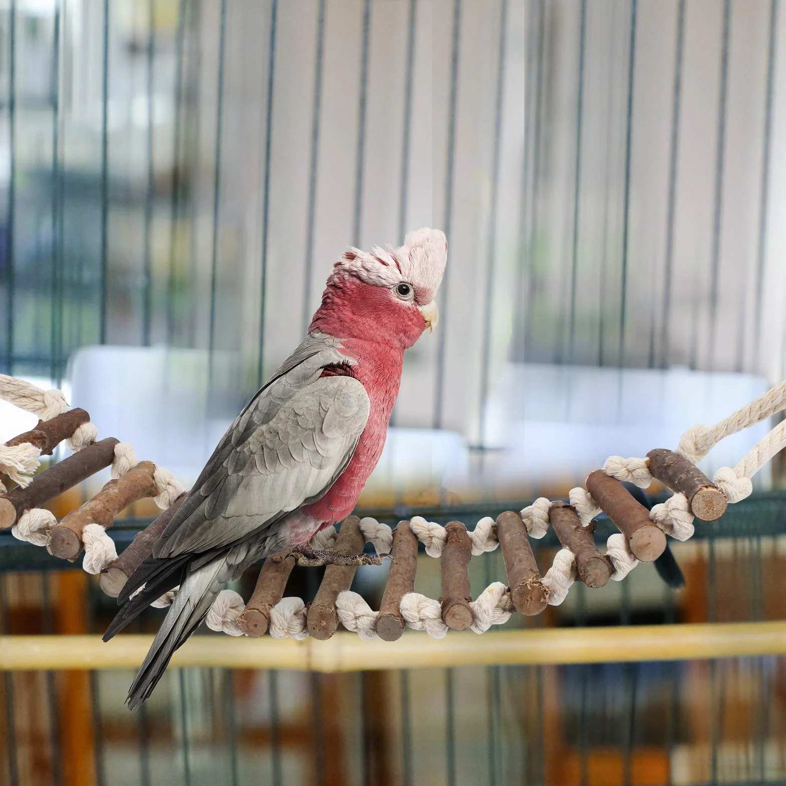 Papuga zabawka naturalny drewniany hamak wiszący dzwonek klatka dla ptaków huśtawka dla kokatiela, małych papugi, budgie i makaw