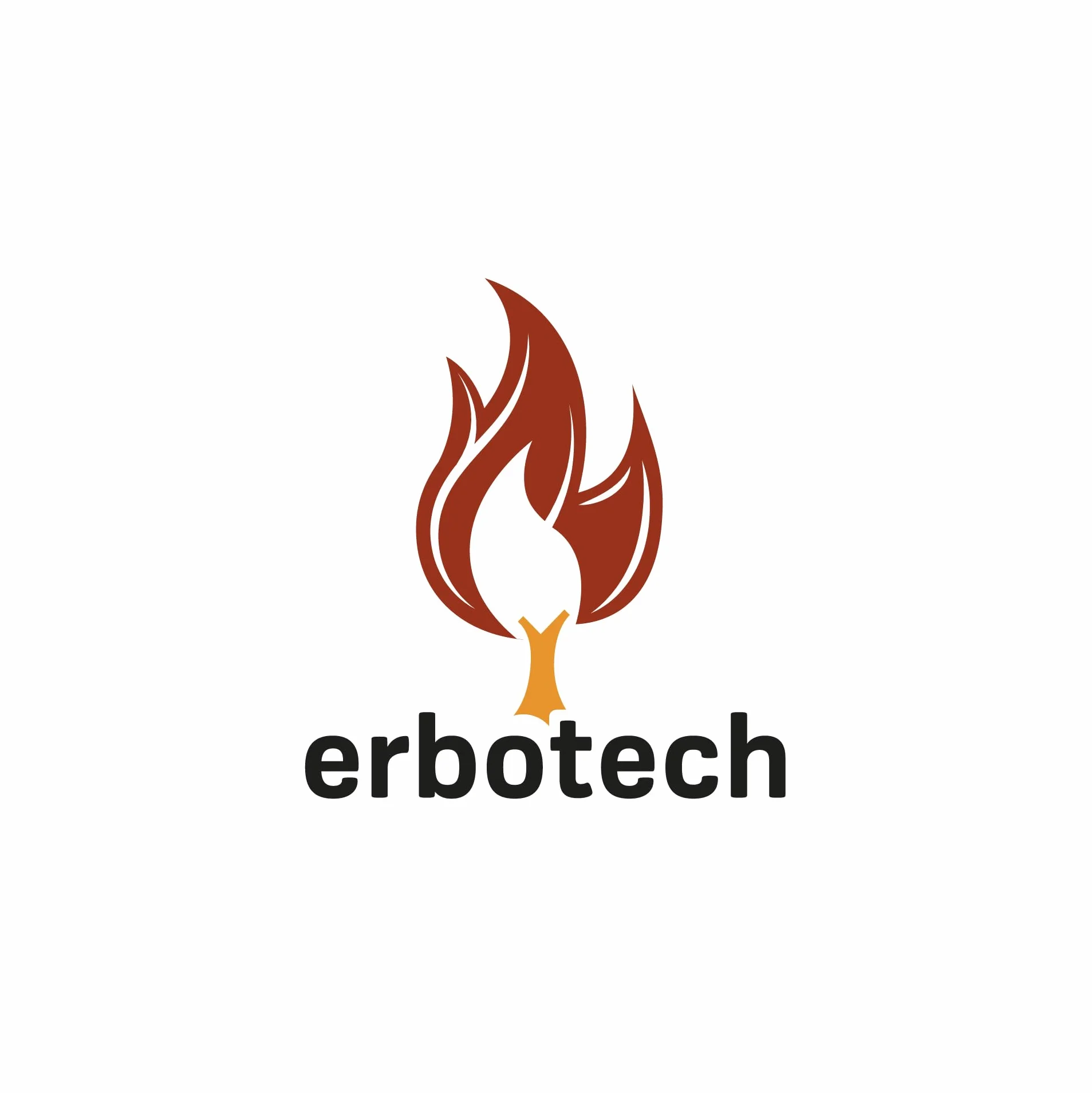 ERBOTECH, Dym w płynie, Skoncentrowany dodatek do żywności, Nadaje potrawom intensywny dymny smak, Idealny do grillowania, mięsa i sera, Dobry również dla wegetarian, Bez GMO, 30 ml