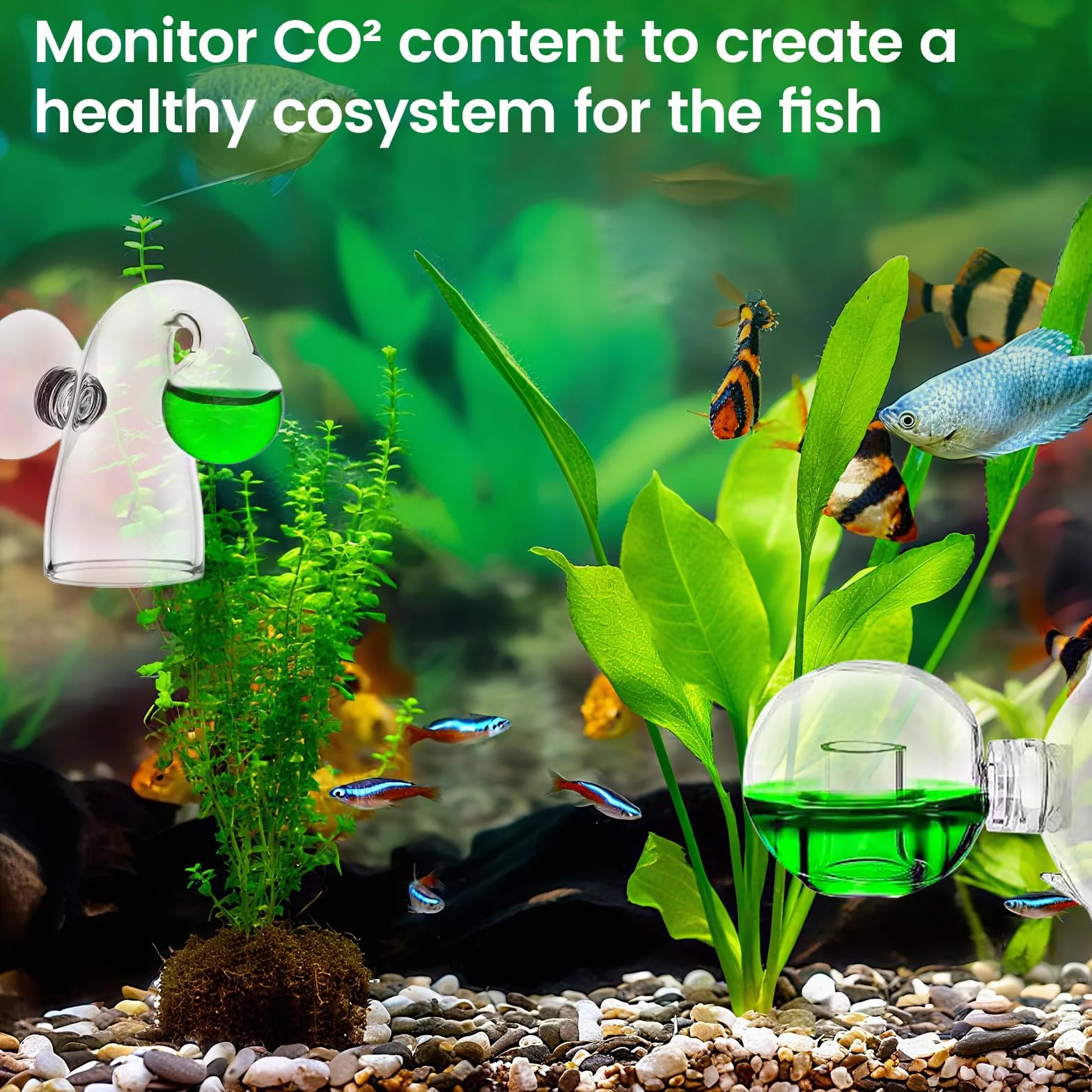 Szklane monitory CO2 do akwarium, test ciągły CO2, 4 sztuki
