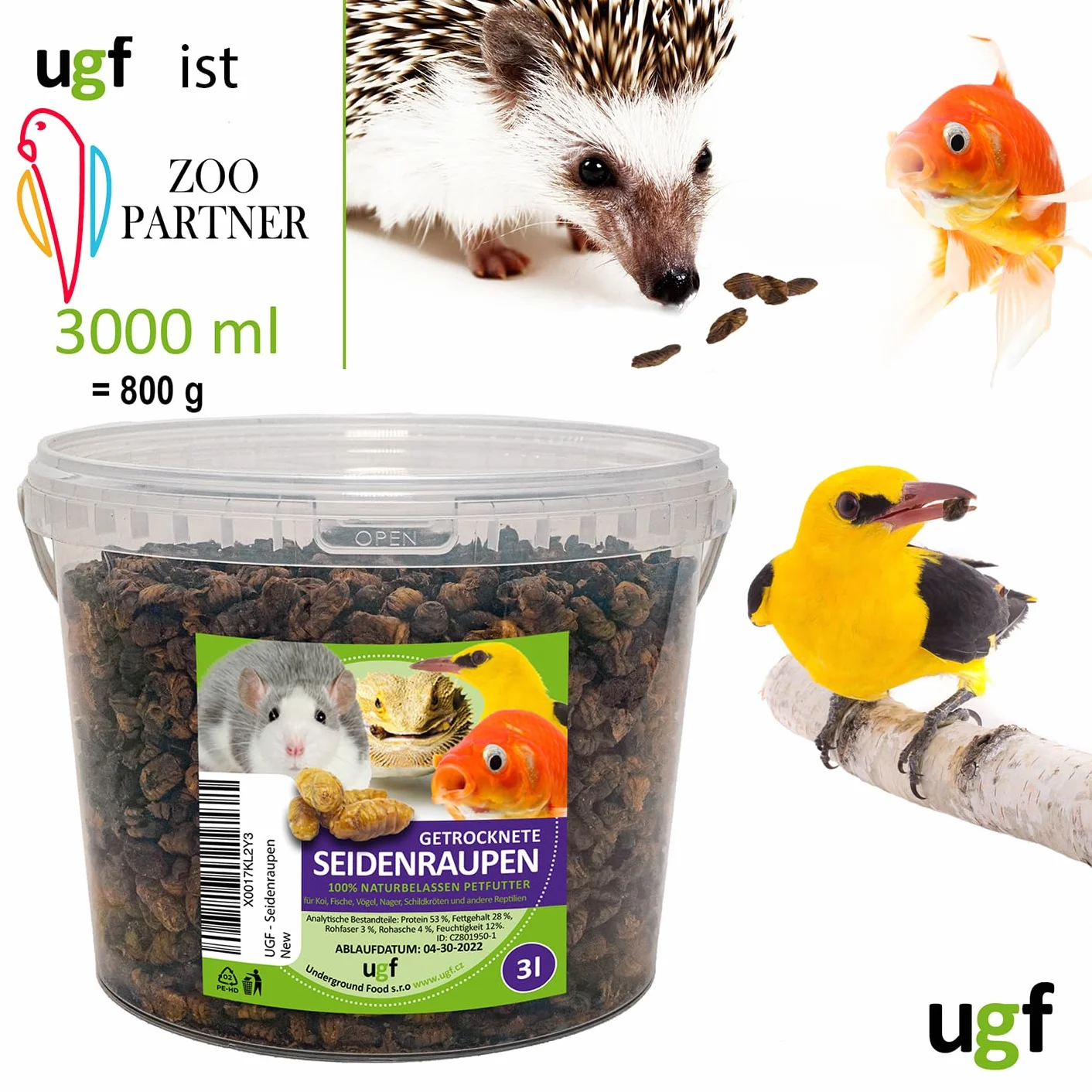 UGF Suszone jedwabniki Koi 800 g w wiadrze 3-litrowym pokarm dla ryb stawowych