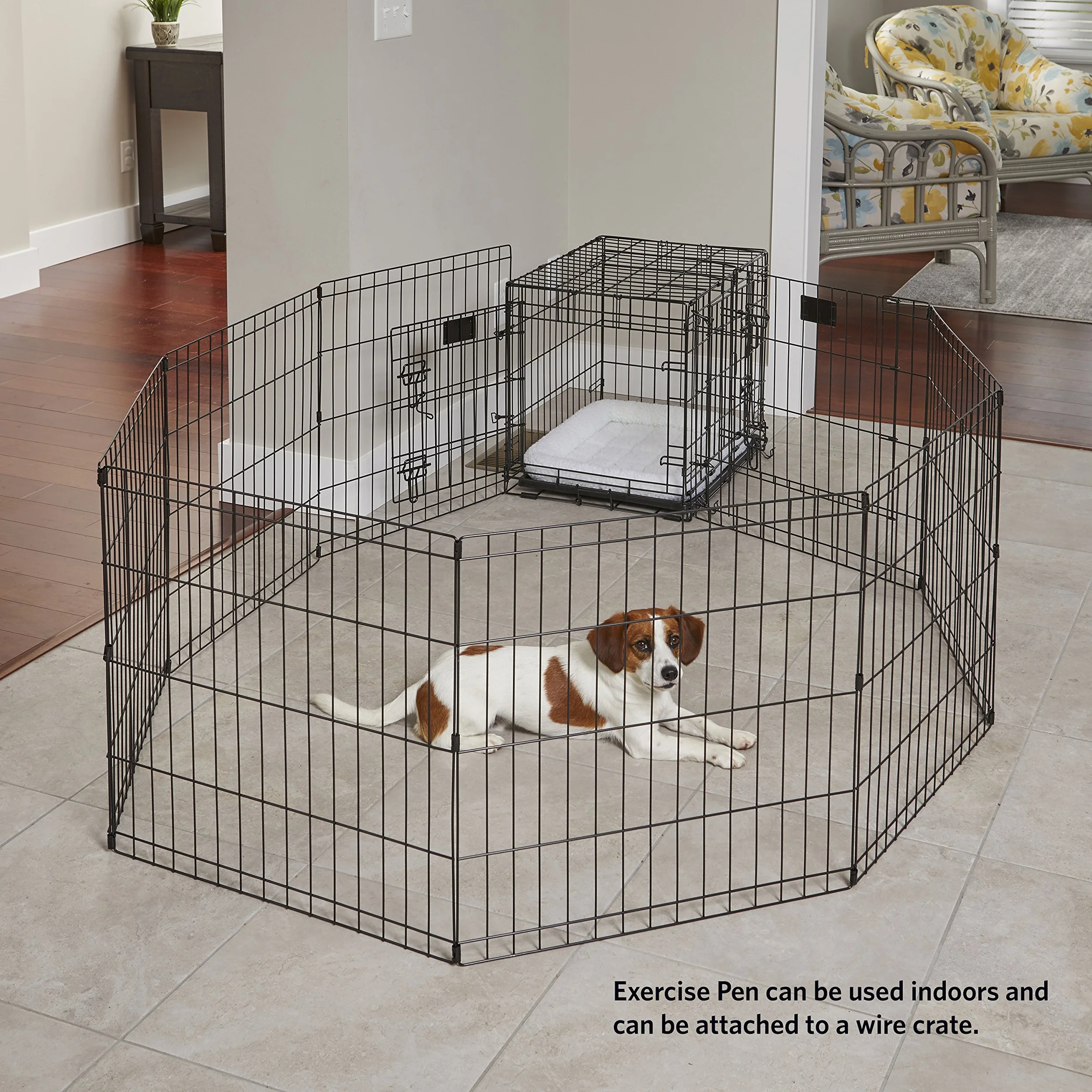 MidWest Homes for Pets kojec dla psów 60,96 cm x 60,96 cm czarny E-Coated 550-24DR