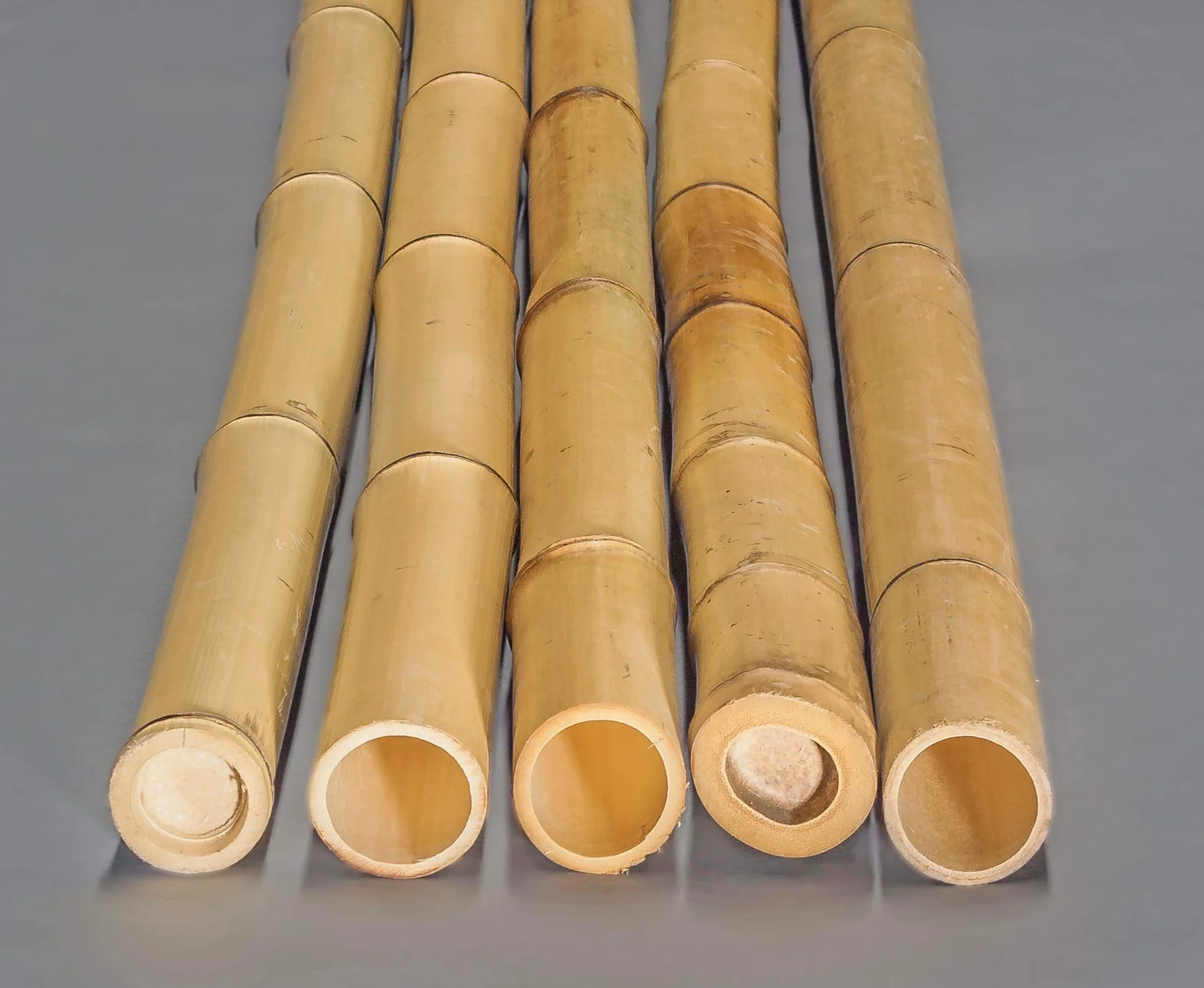 1 sztuka Moso rura bambusowa 200 cm, żółtawa o średnicy 4,5-6 cm – drążek bambusowy, wybielony, długość 2 m