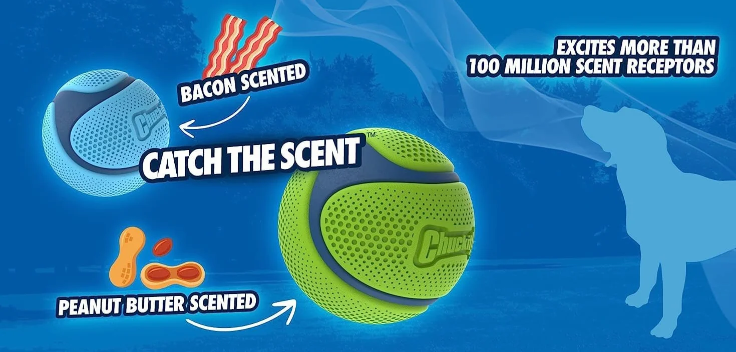 Chuckit! Sniff Ball zabawka dla psa, trwała, pachnąca gumowa piłka, średnia