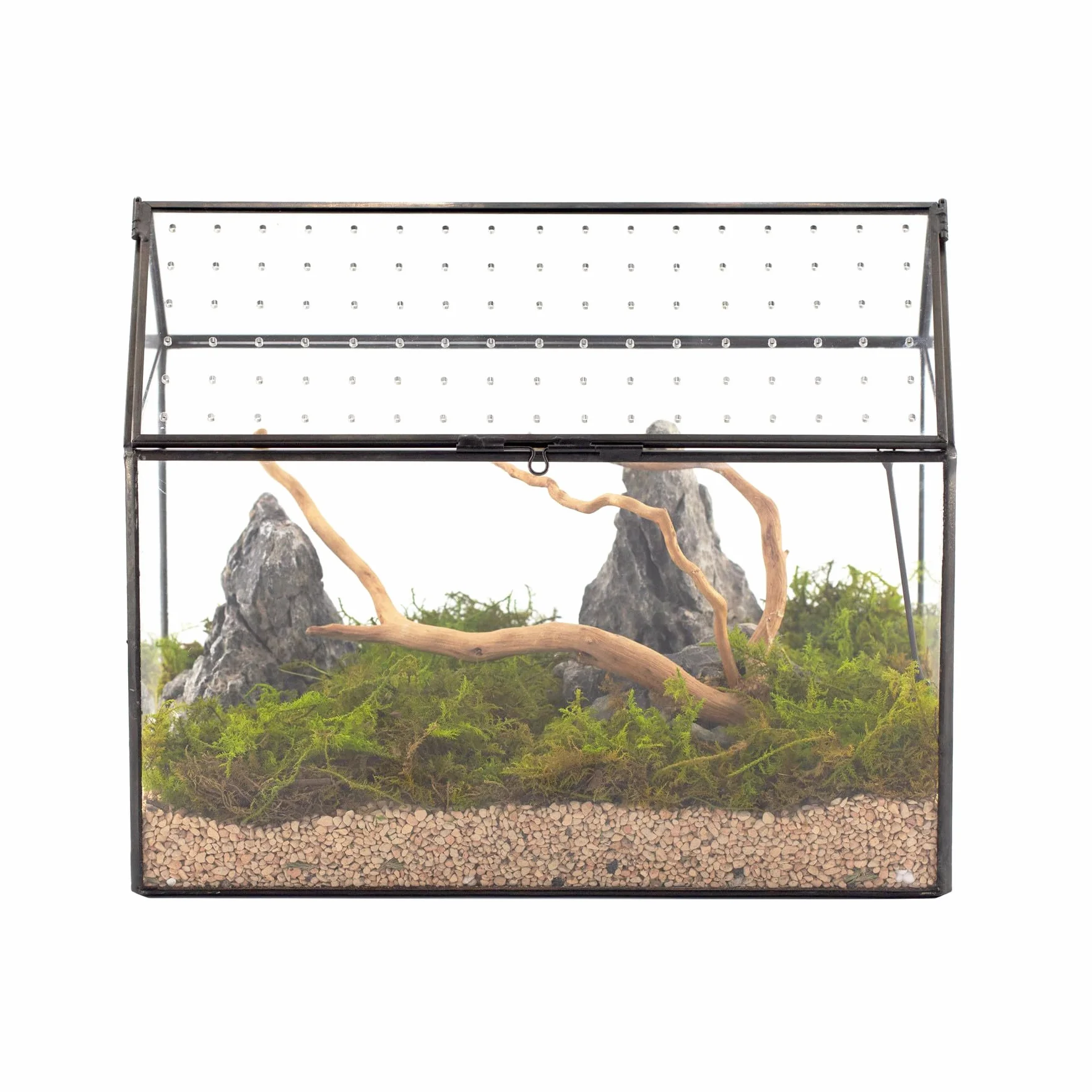 NCYP Szklane terrarium w kształcie domu z akrylową pokrywką, duże, geometryczne pudełko terrarium na ślimaki, paprocie, sukulenty, rośliny powietrzne, czarna dekoracja blatu (bez roślin)