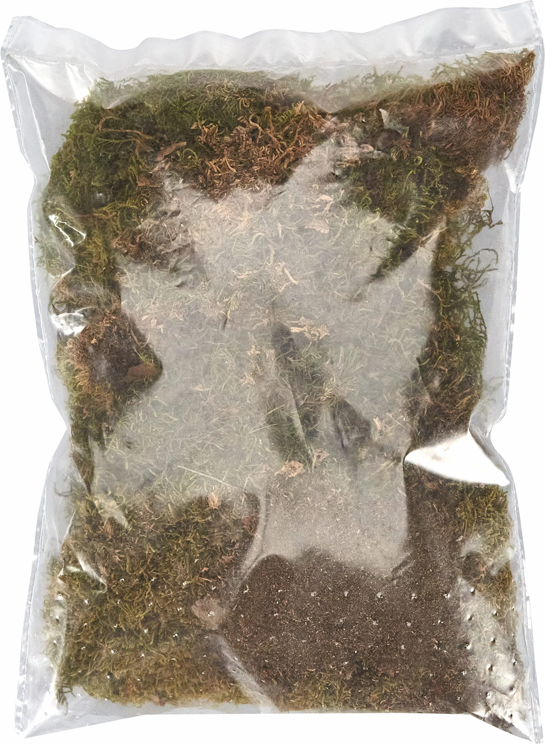 Trixie Reptiland Mech do Terrarium, 200 g