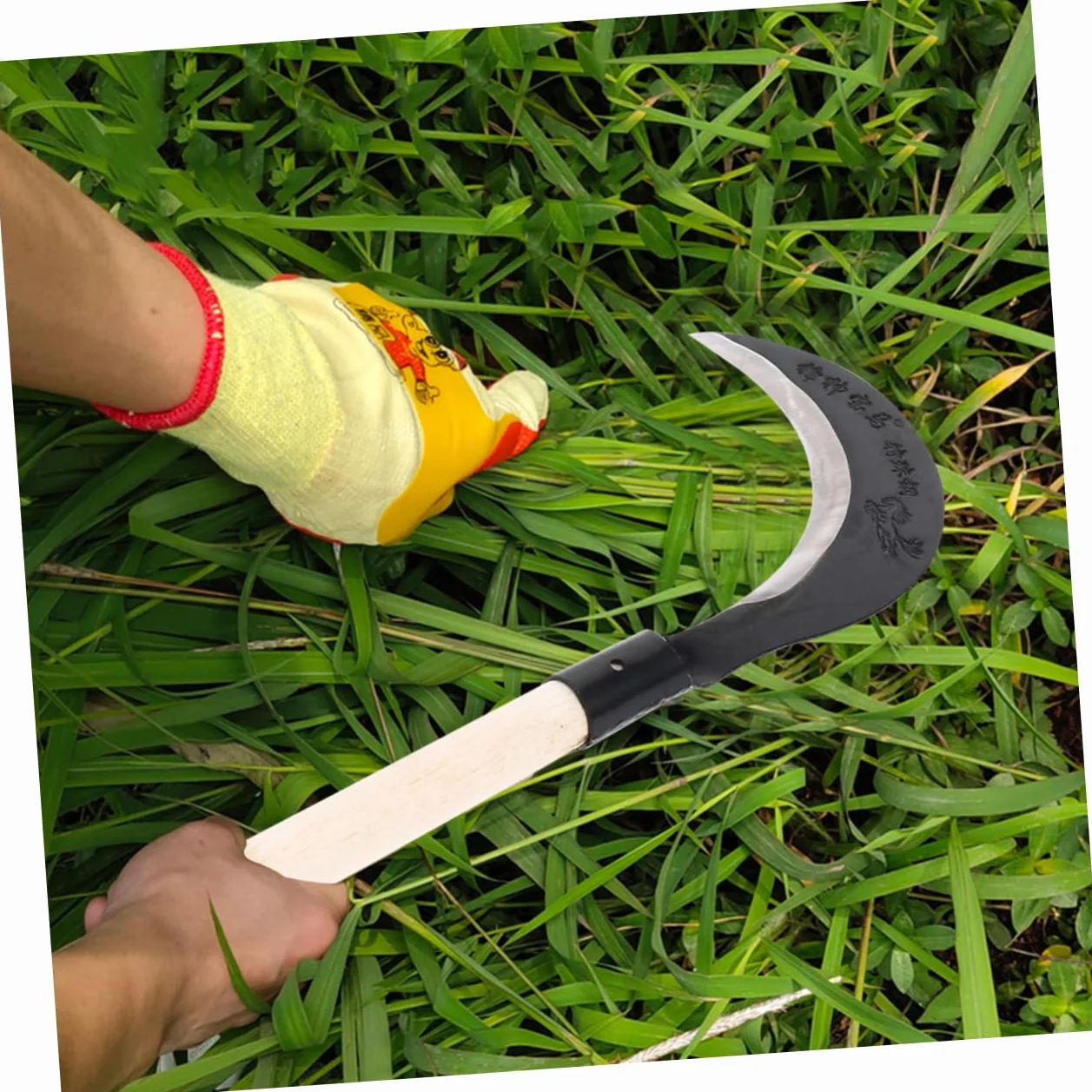 DIXII Kosa ręczna sierp ręczny trzcina cukrowa pielenie ze stali manganowej sierp trawy ogrodnictwo sierp trawy (kolor: różne kolory x 2 szt., rozmiar: 50 x 17 cm x 3 szt.)